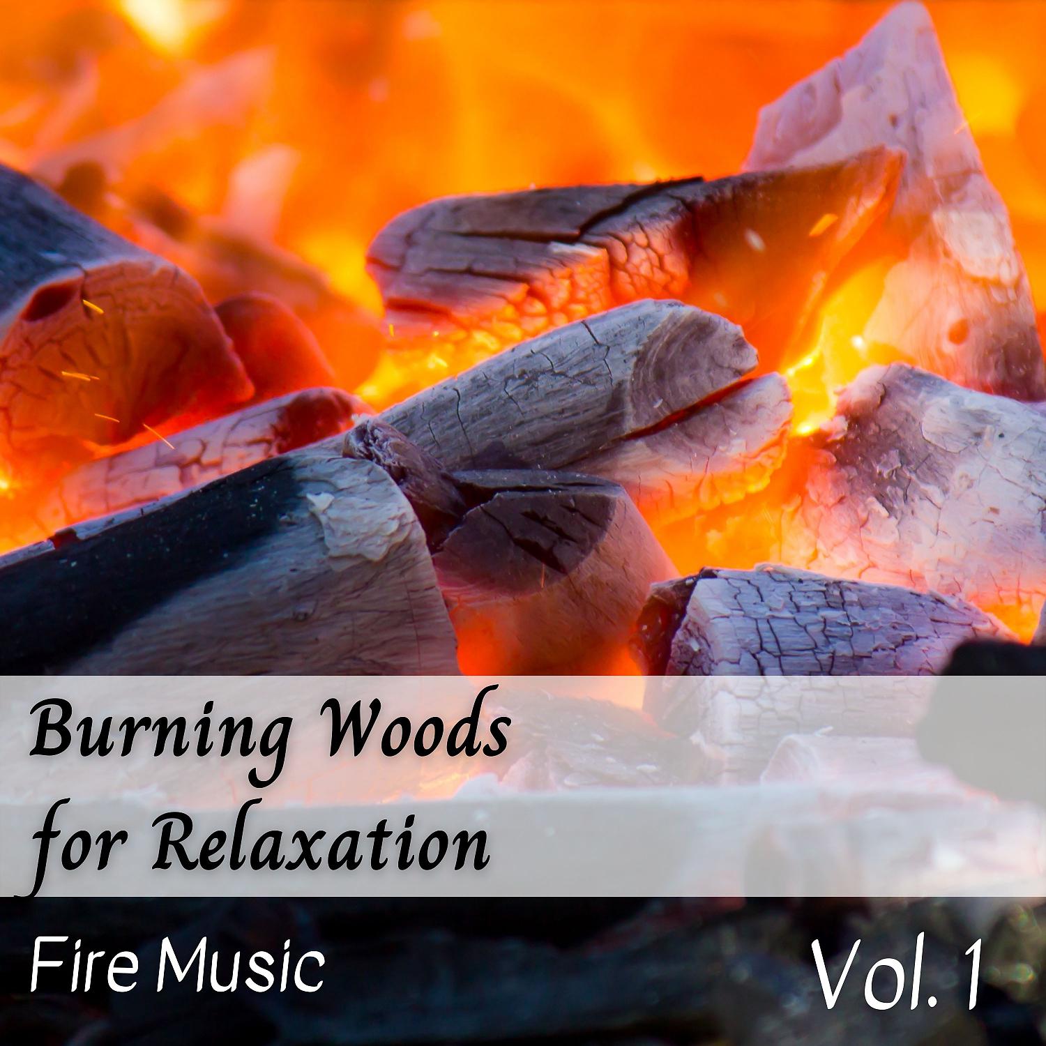 Постер альбома Fire Music: Burning Woods for Relaxation Vol. 1