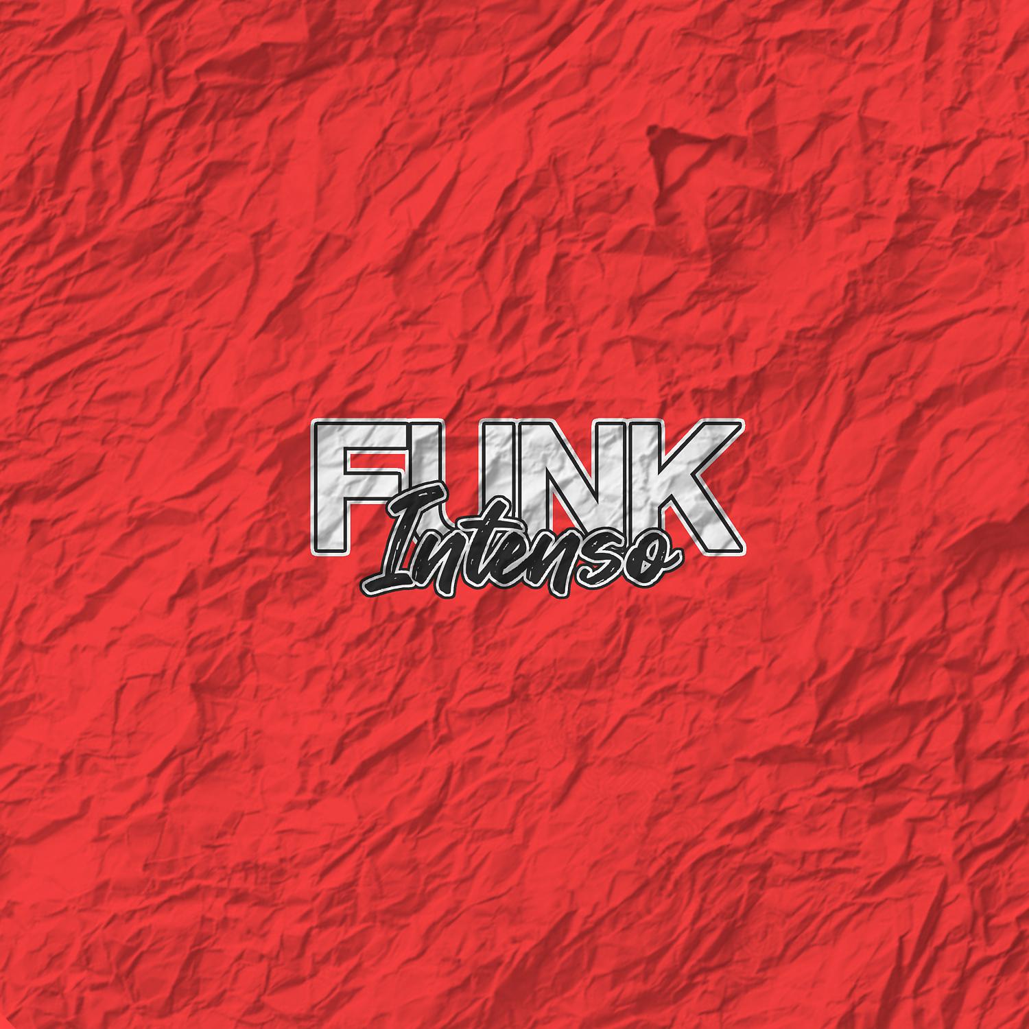 Постер альбома Funk Intenso