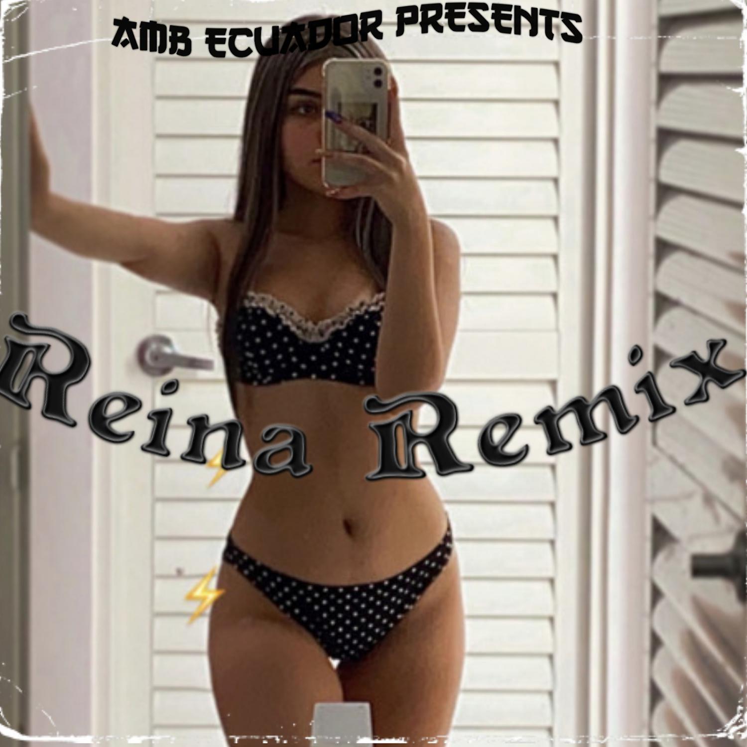 Постер альбома REINA (feat. Louis & Melodygirl) [REMIX]