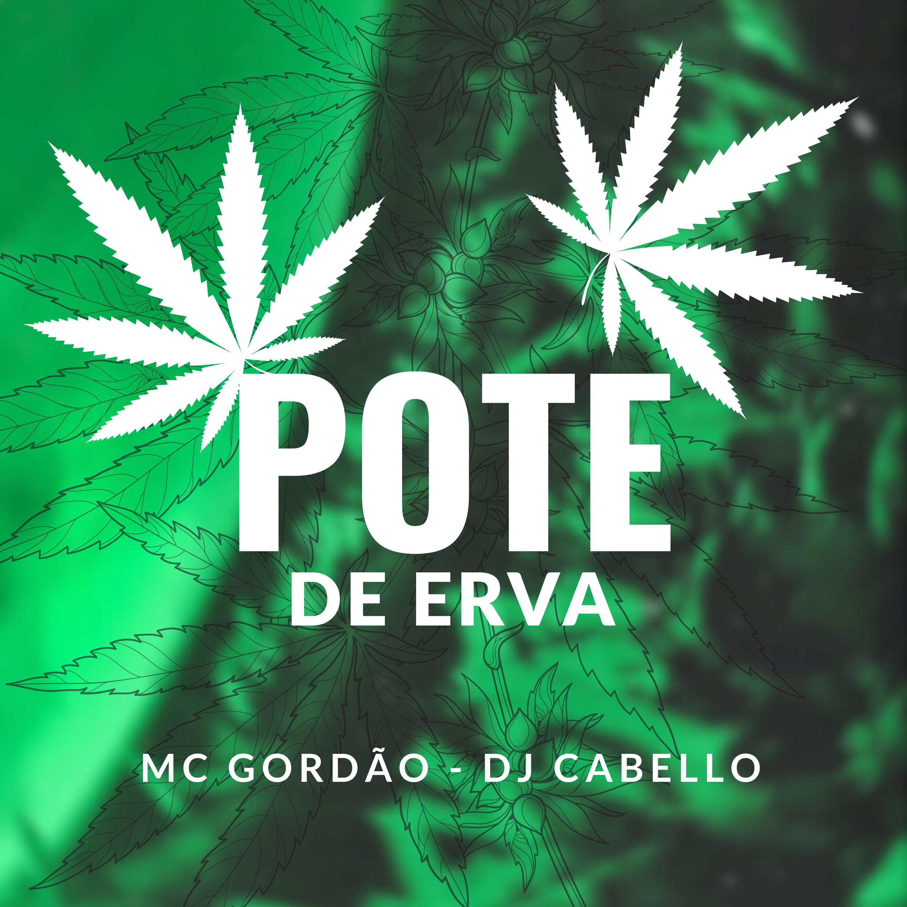 Постер альбома Pote de Erva