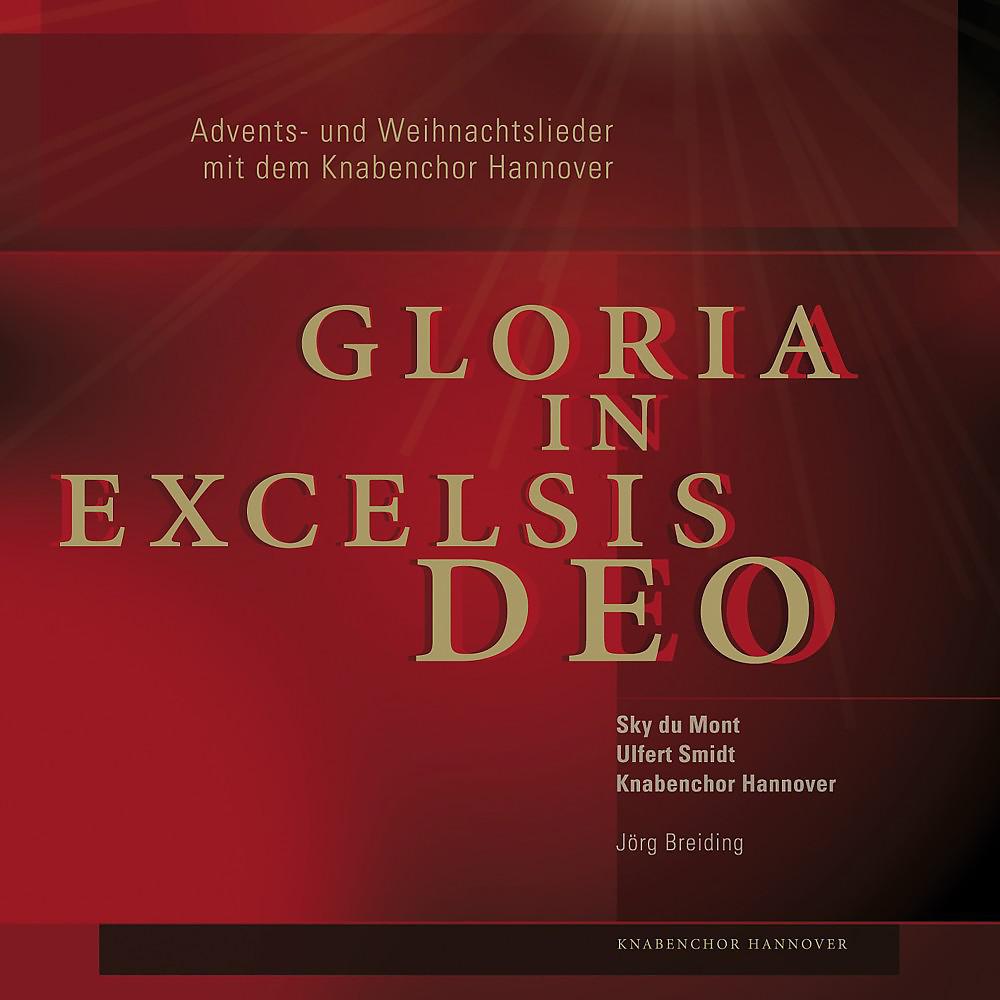 Постер альбома Siegfried Strohbach: Weihnachten mit dem Knabenchor Hannover (Gloria in Excelsis Deo)