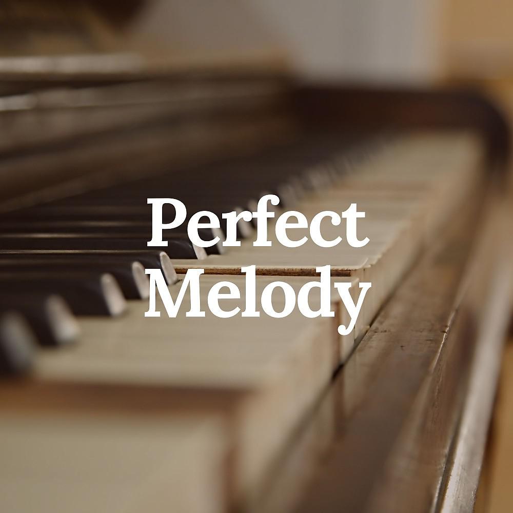 Постер альбома Perfect Melody