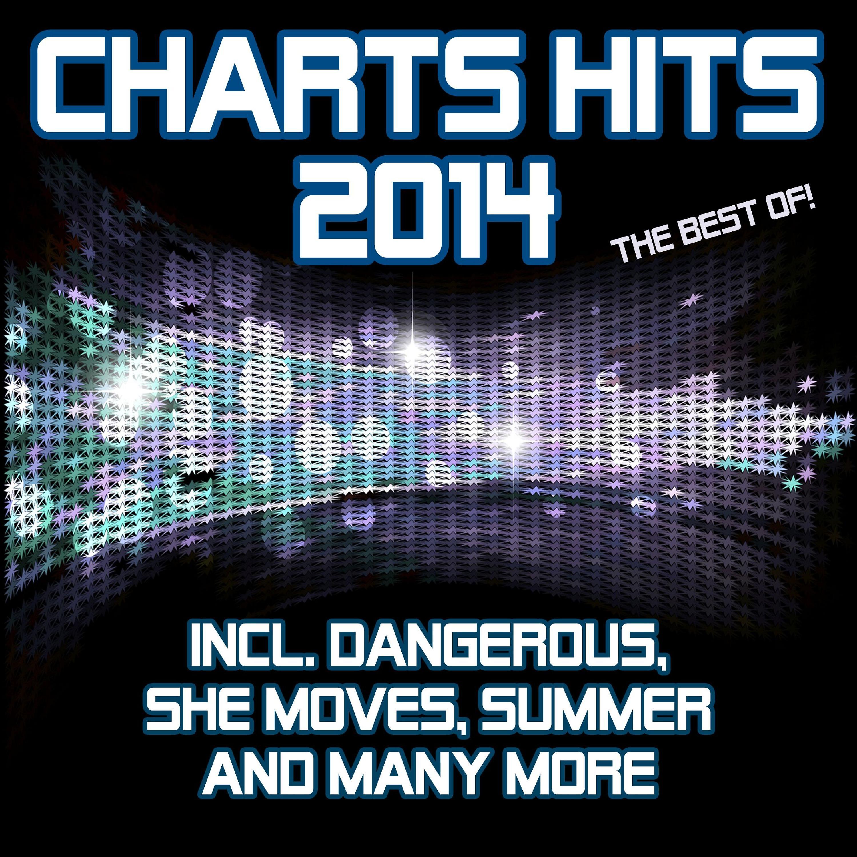 Постер альбома Charts Hits 2014 - The Best Of (Incl. Dangerous, She Moves, Summer and Many More)