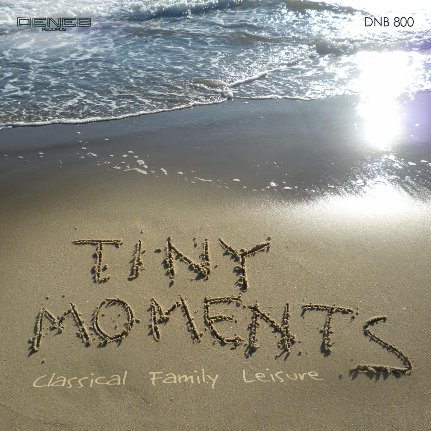 Постер альбома Tiny Moments