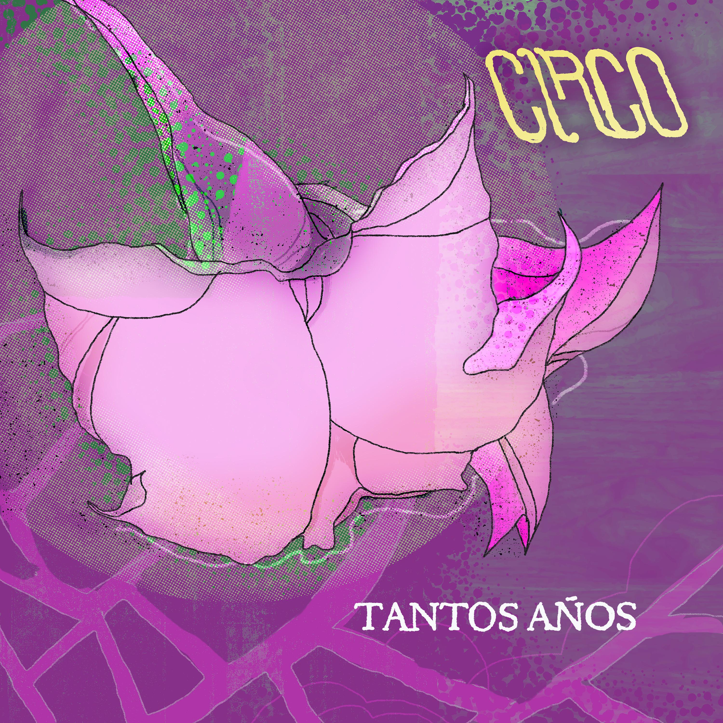 Постер альбома Tantos Años