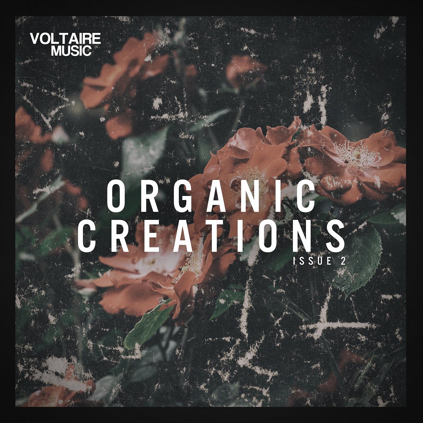 Постер альбома Organic Creations Issue 2