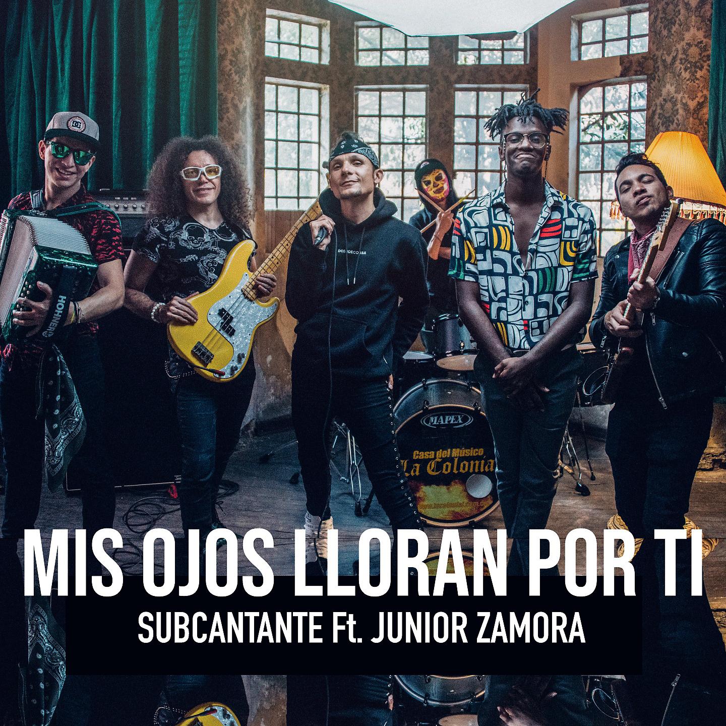 Постер альбома Mis Ojos Lloran por Ti