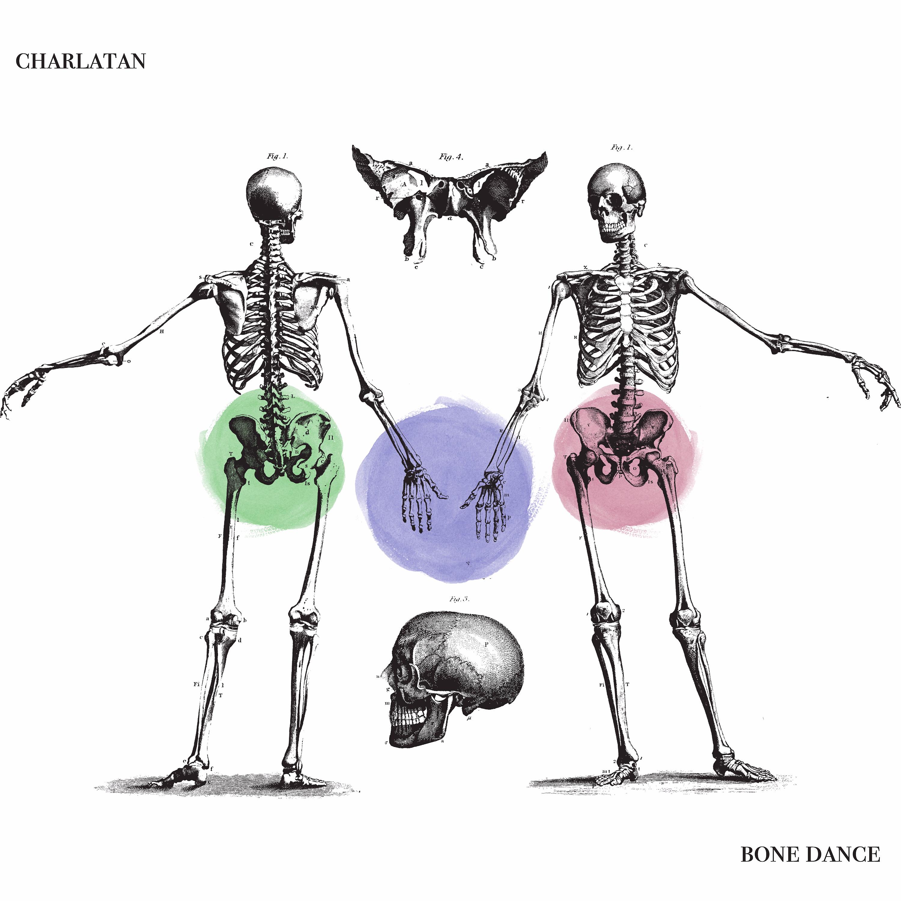 Постер альбома Bone Dance