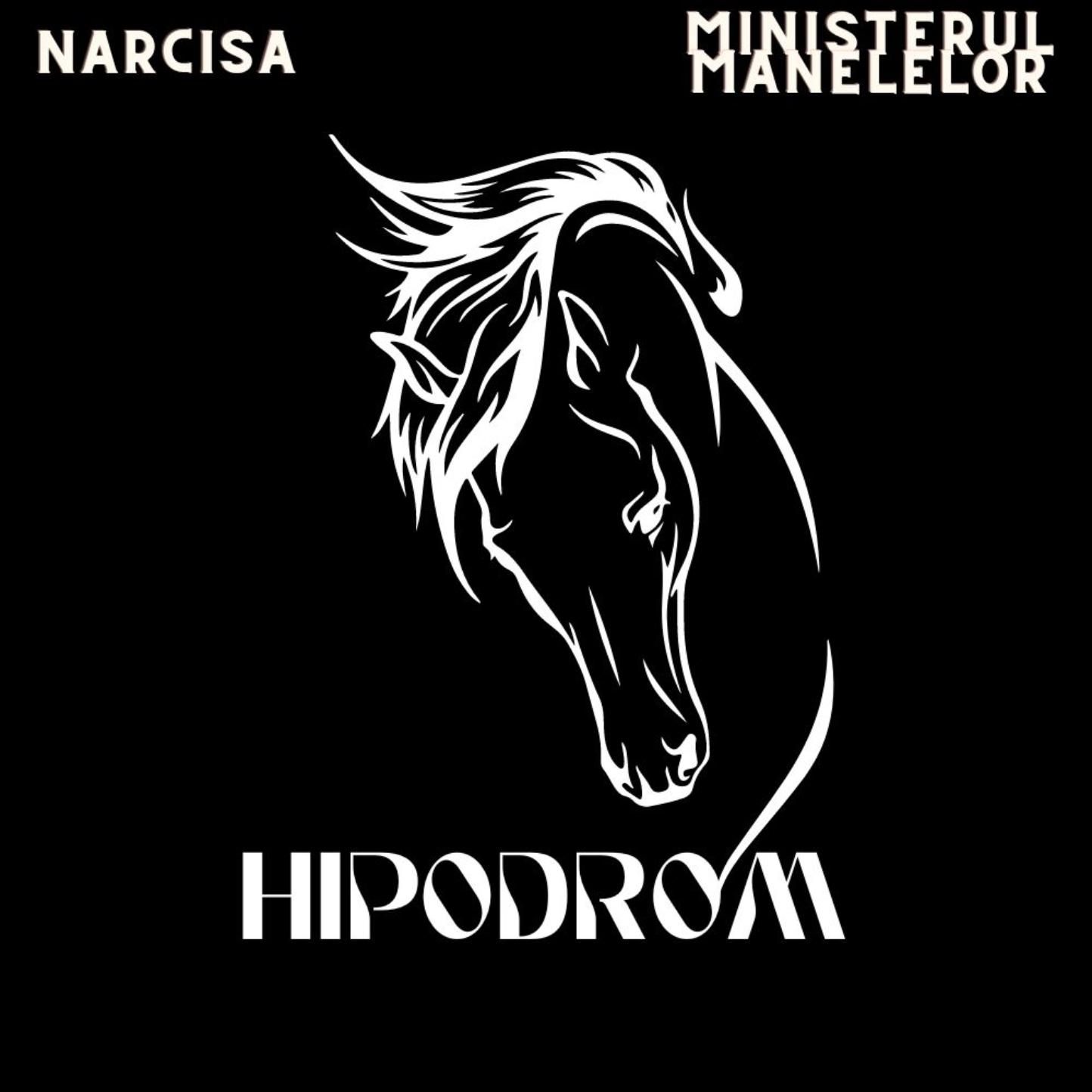 Постер альбома Hipodrom