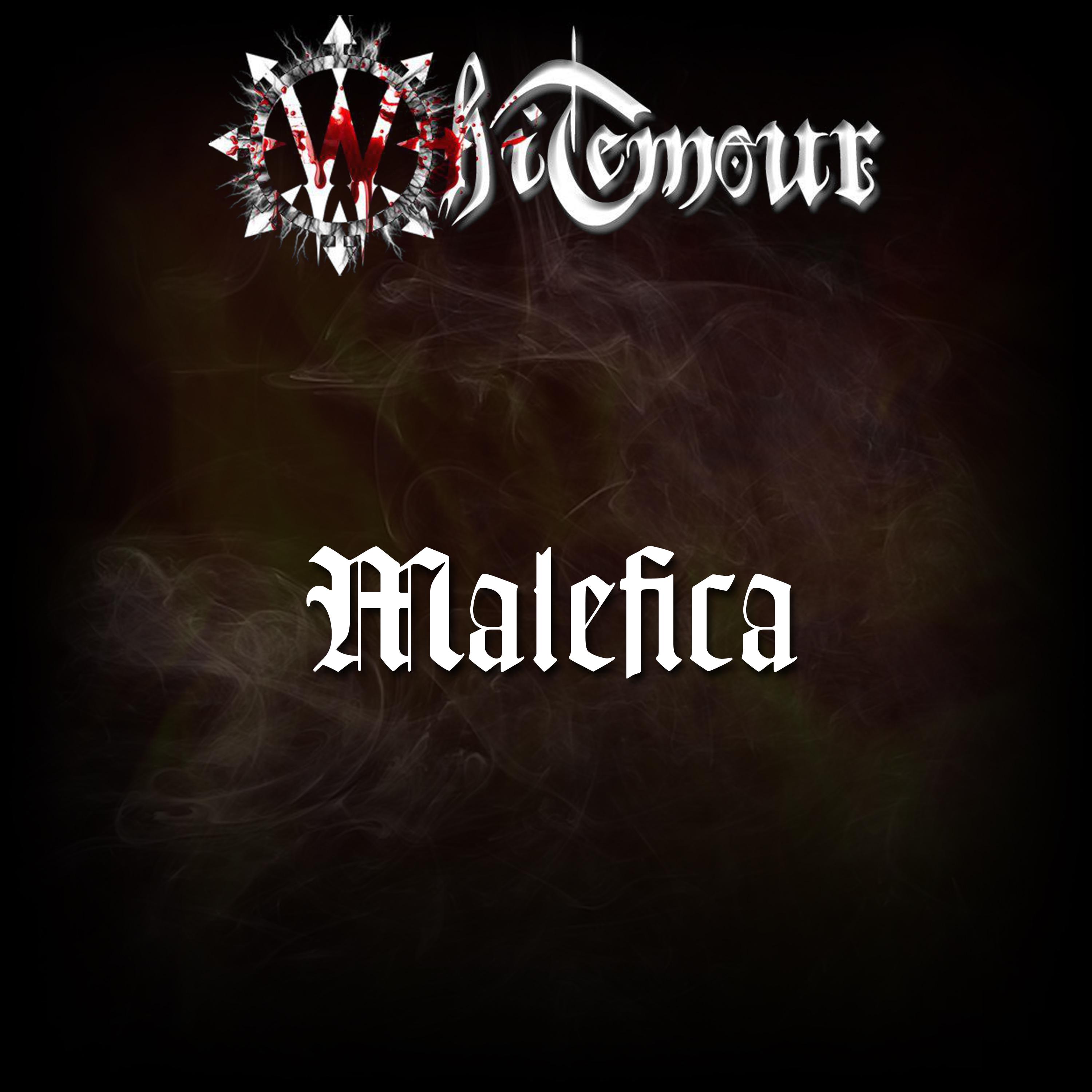 Постер альбома Malefica