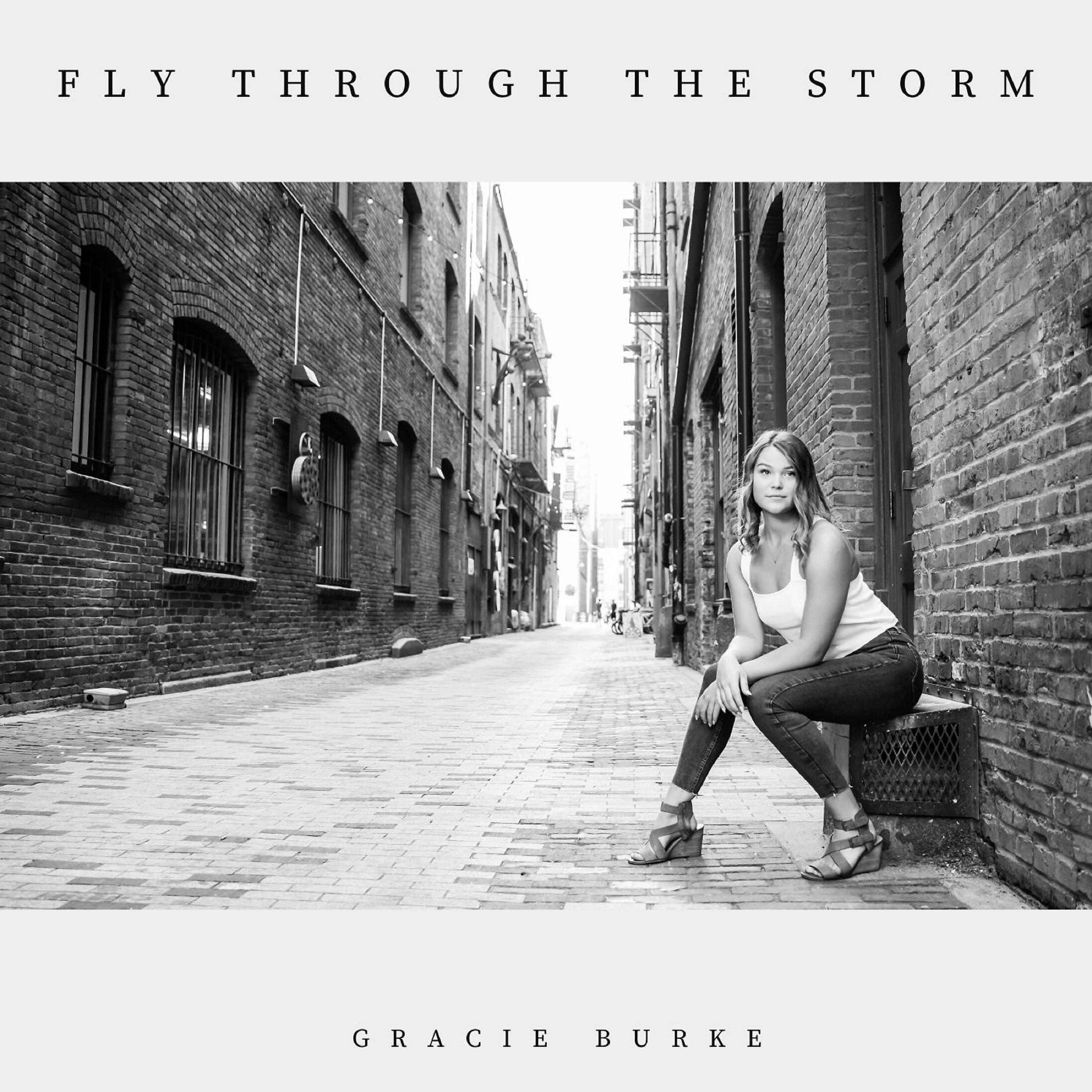 Постер альбома Fly Through the Storm