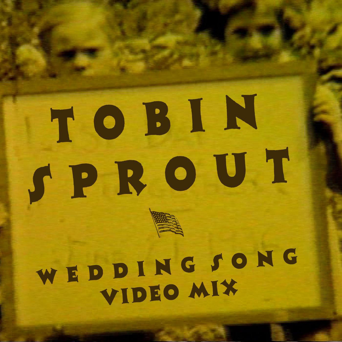 Постер альбома Wedding Song (Video Mix)