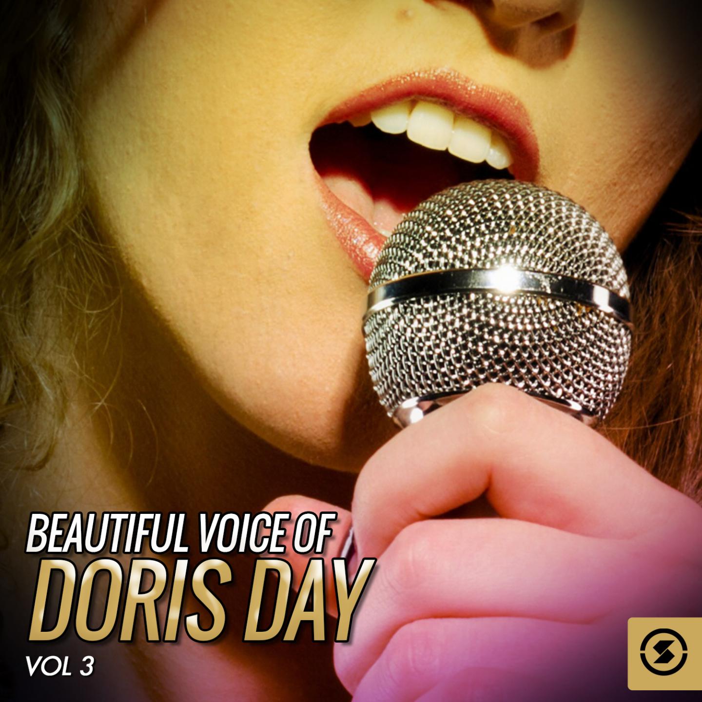 Постер альбома Beautiful Voice of Doris Day, Vol. 3