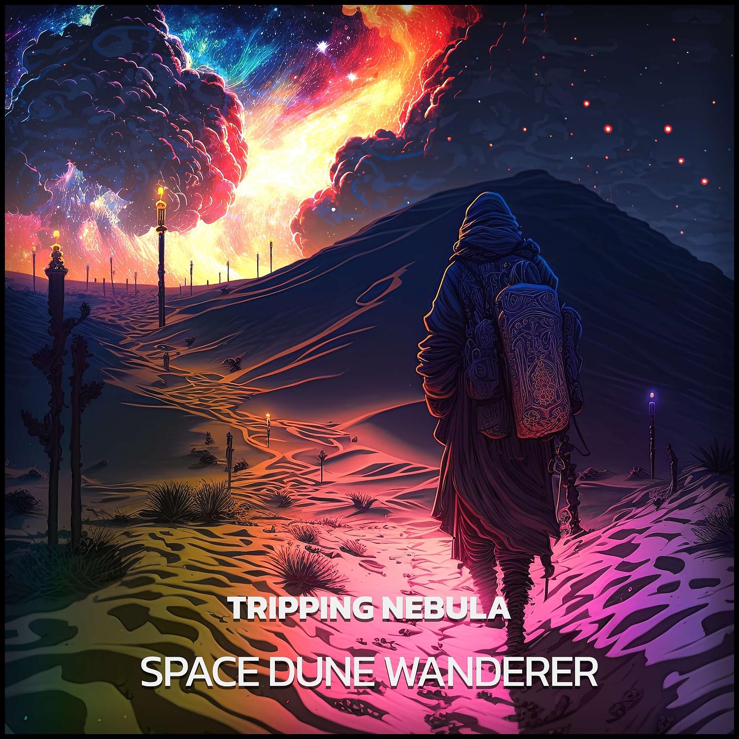 Постер альбома Space Dune Wanderer