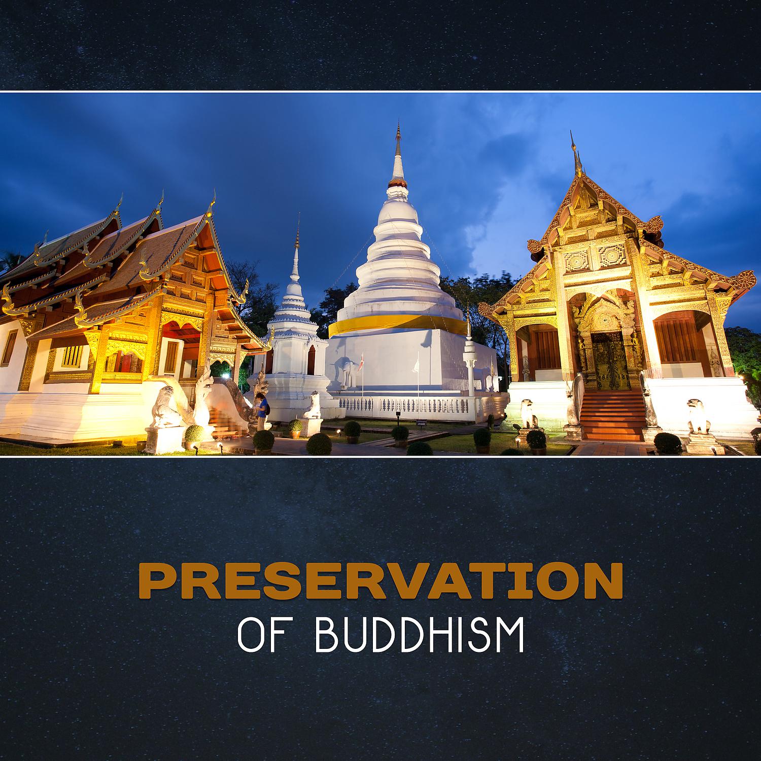 Постер альбома Preservation of Buddhism: Meditation