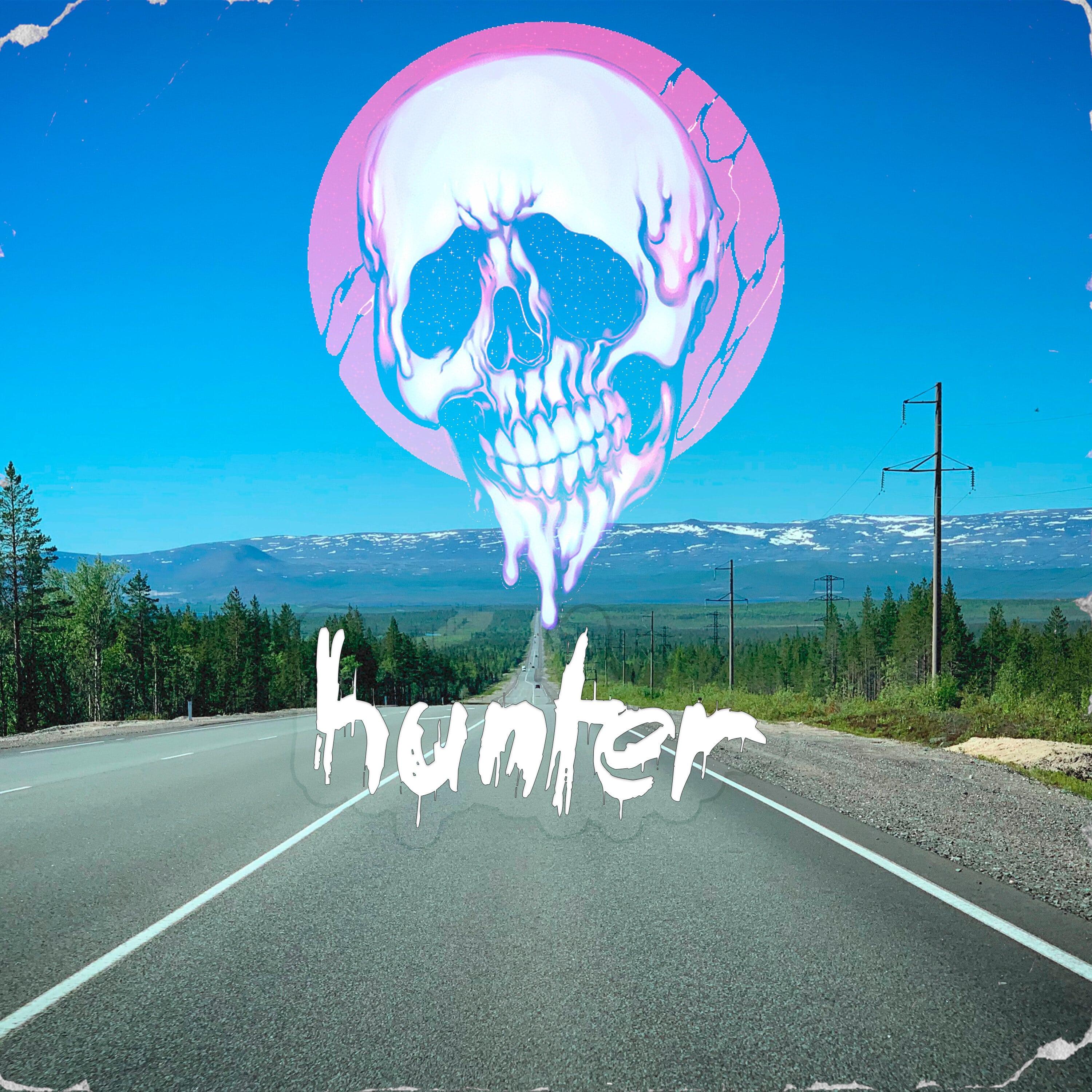 Постер альбома Hunter