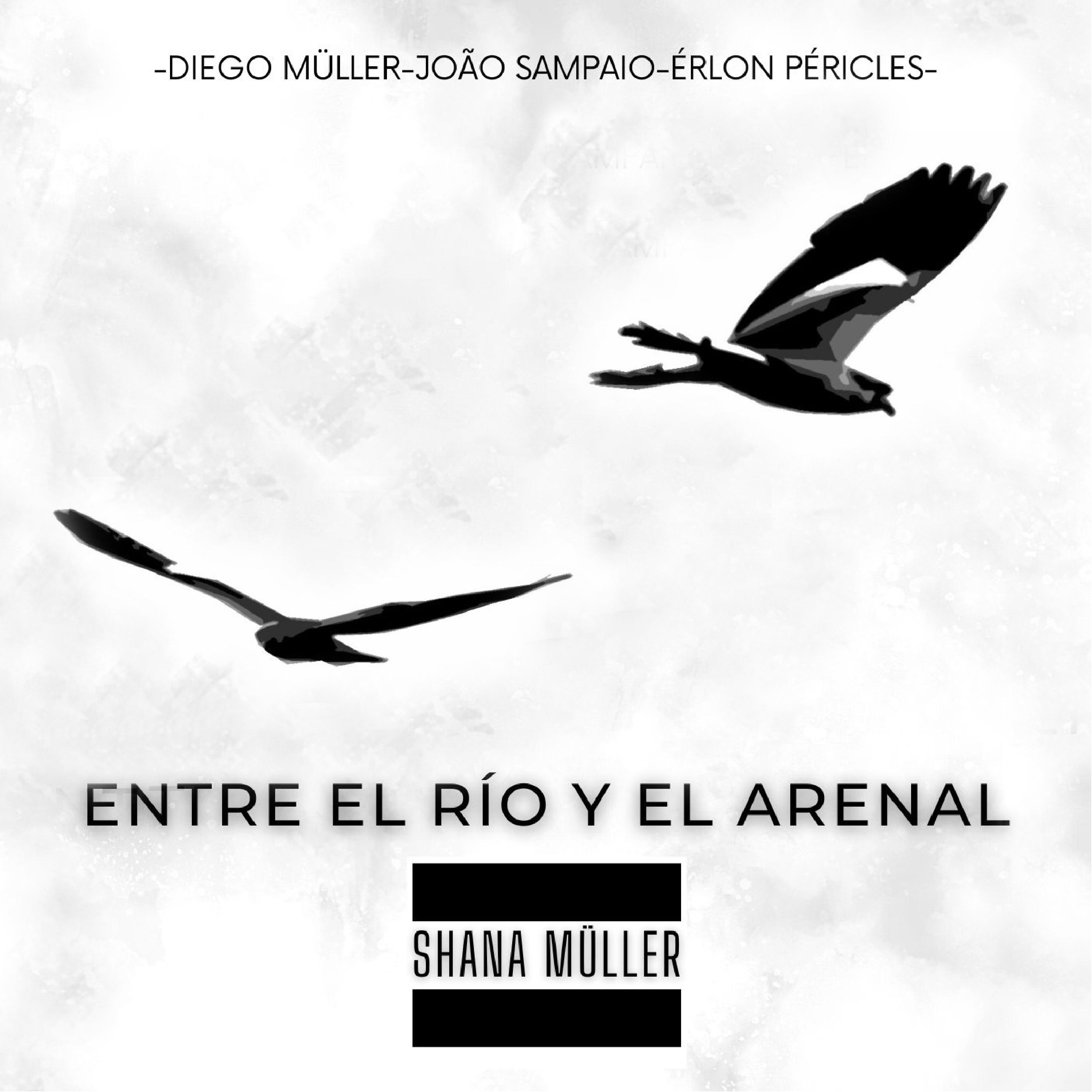 Постер альбома Entre el Río y el Arenal