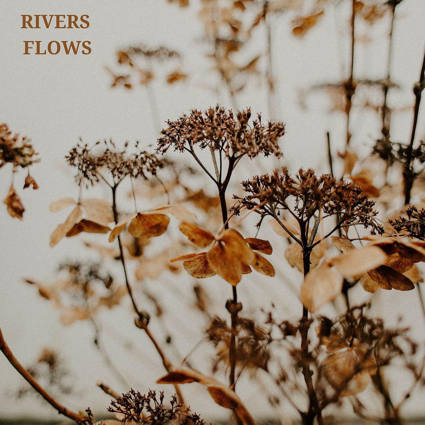 Постер альбома Rivers Flows