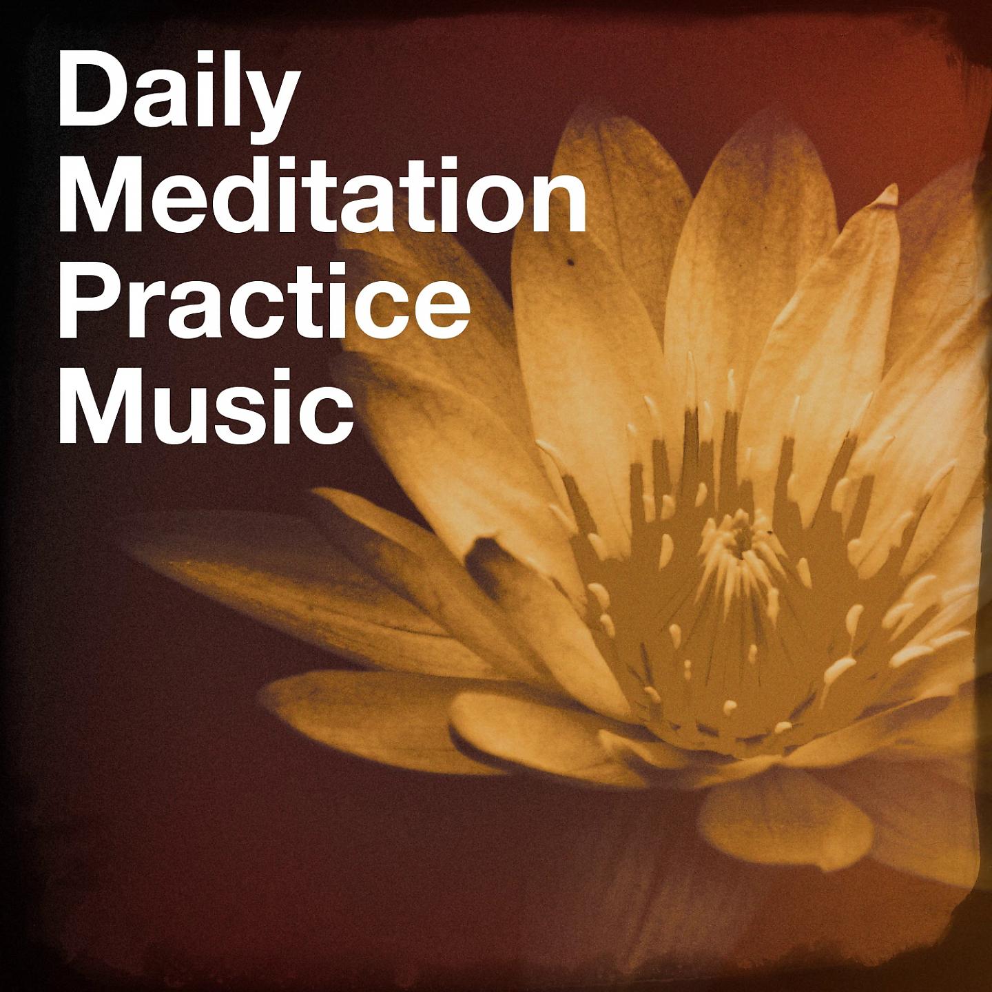 Постер альбома Daily Meditation Practice Music