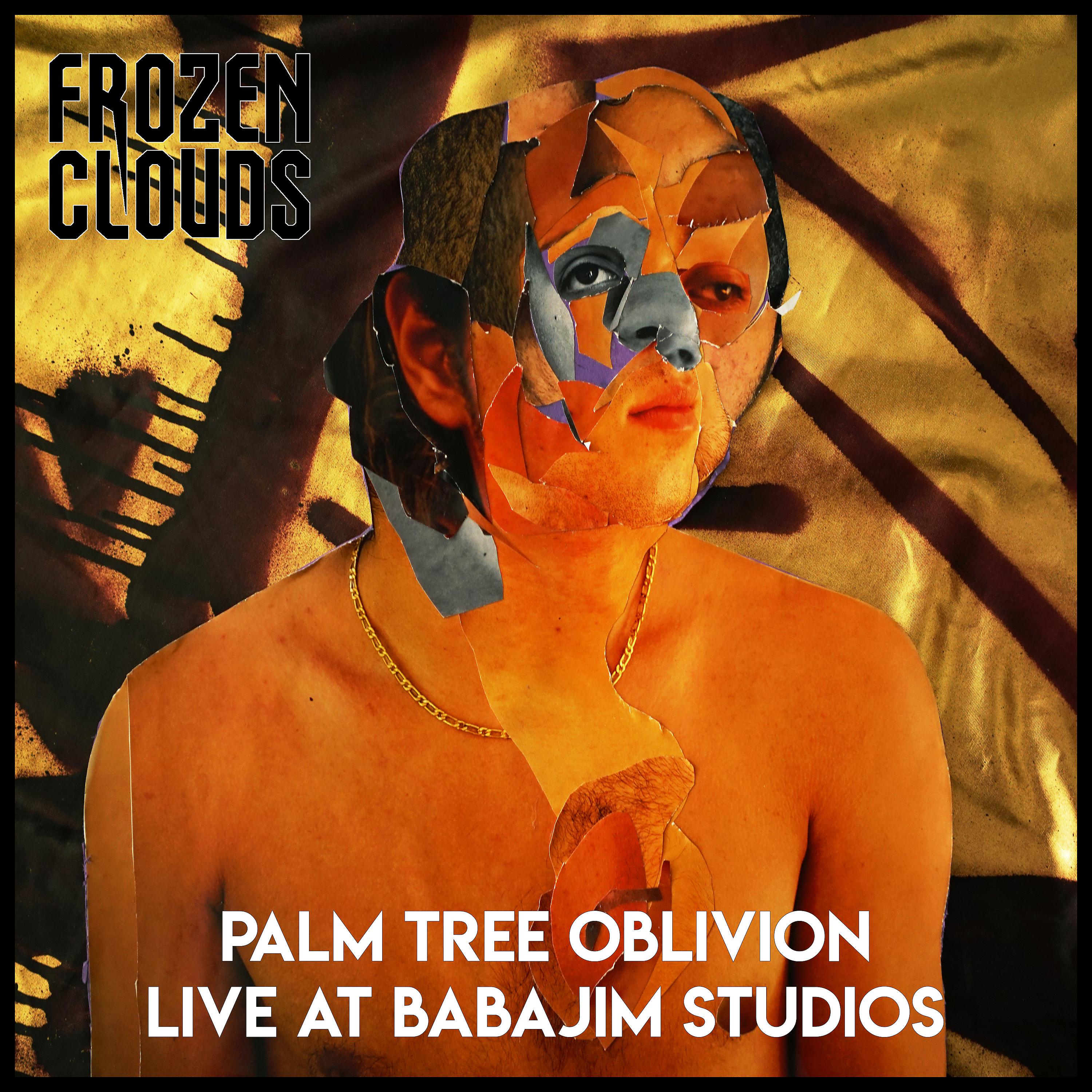 Постер альбома Palm Tree Oblivion (Live at Babajim Studios)