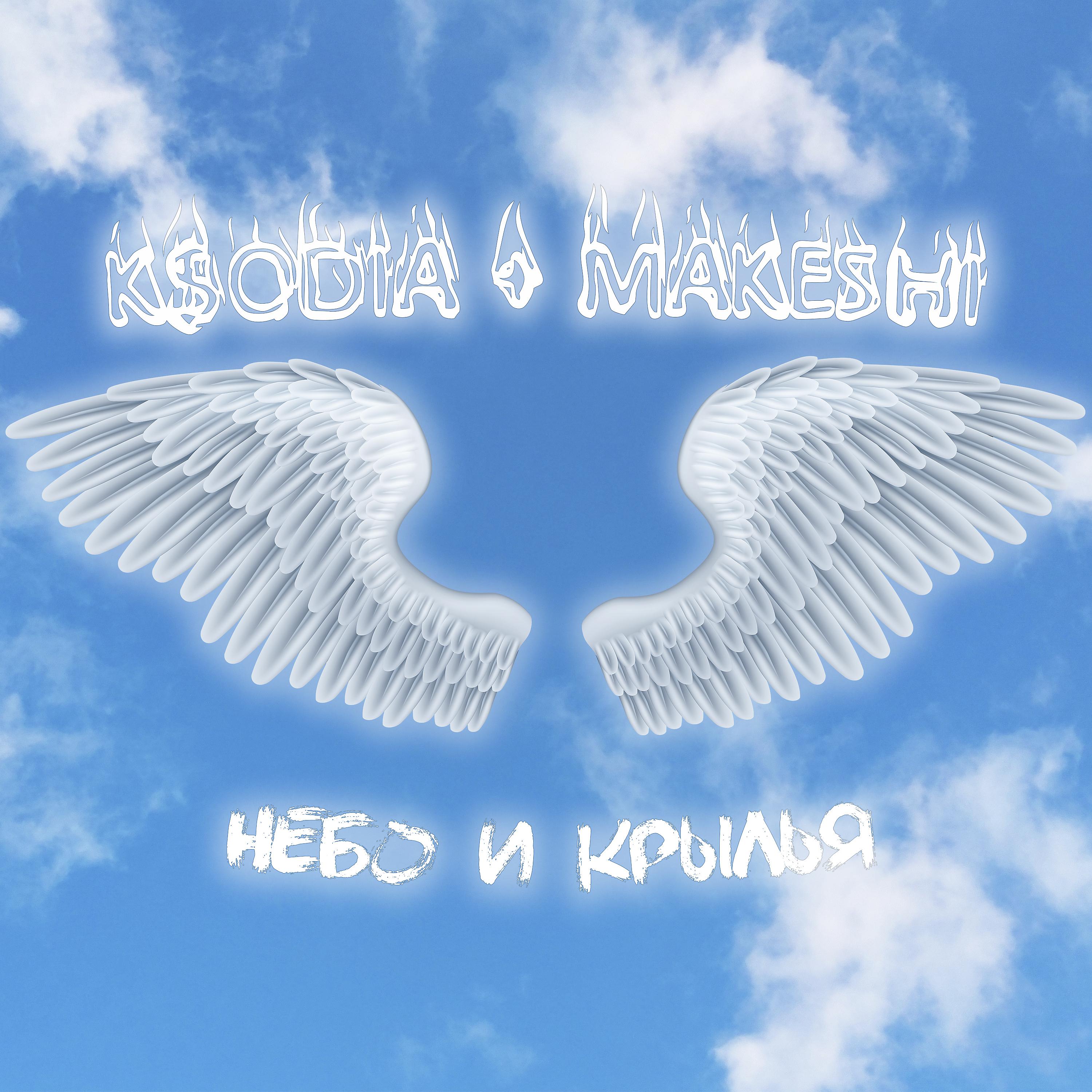 Постер альбома Небо и крылья
