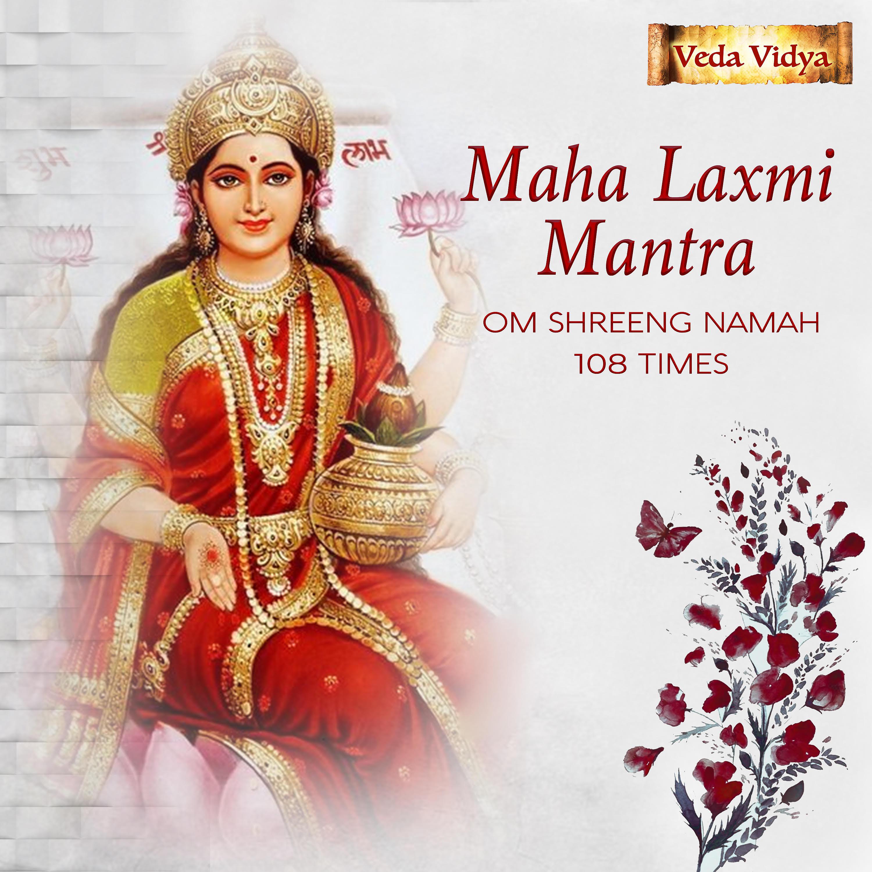 Постер альбома Maha Laxmi Mantra (Om Shreeng Namah 108 Times)