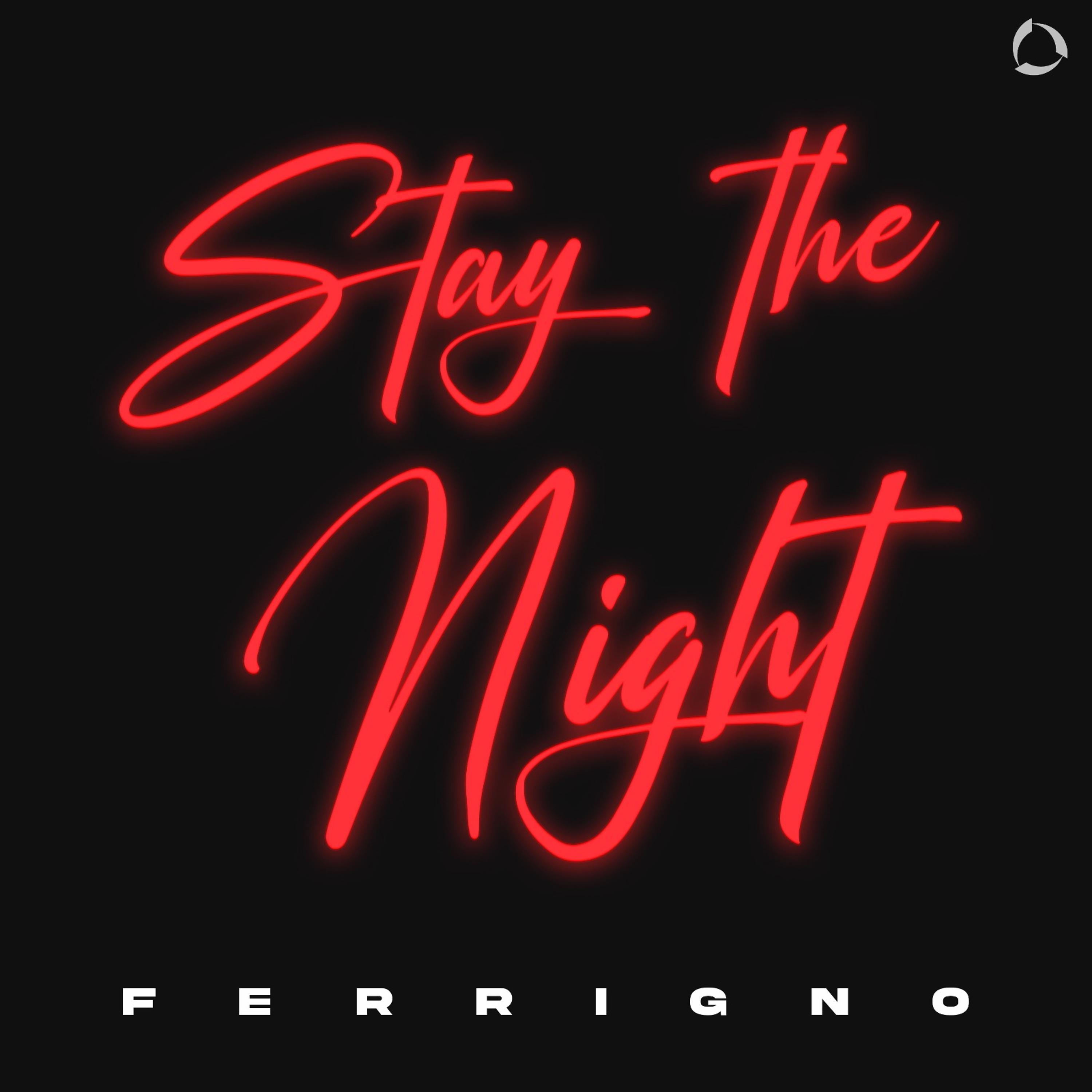 Постер альбома Stay The Night