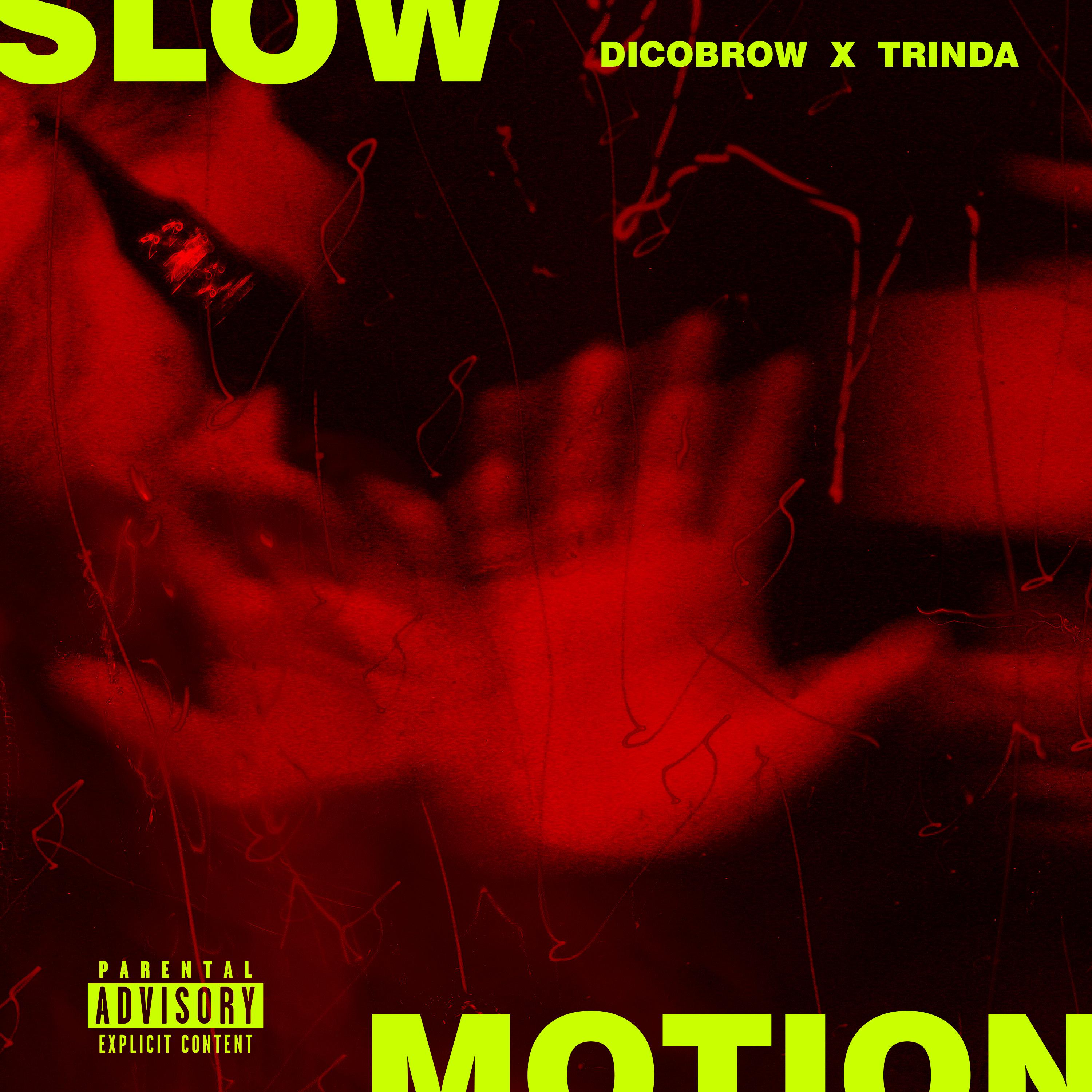 Постер альбома Slowmotion * Slowed