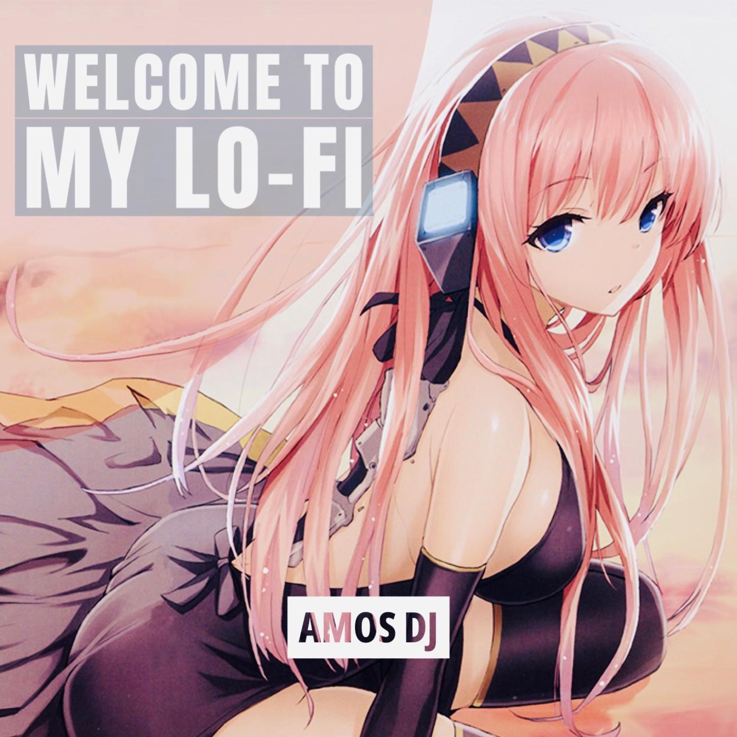 Постер альбома Welcome To My Lo-Fi