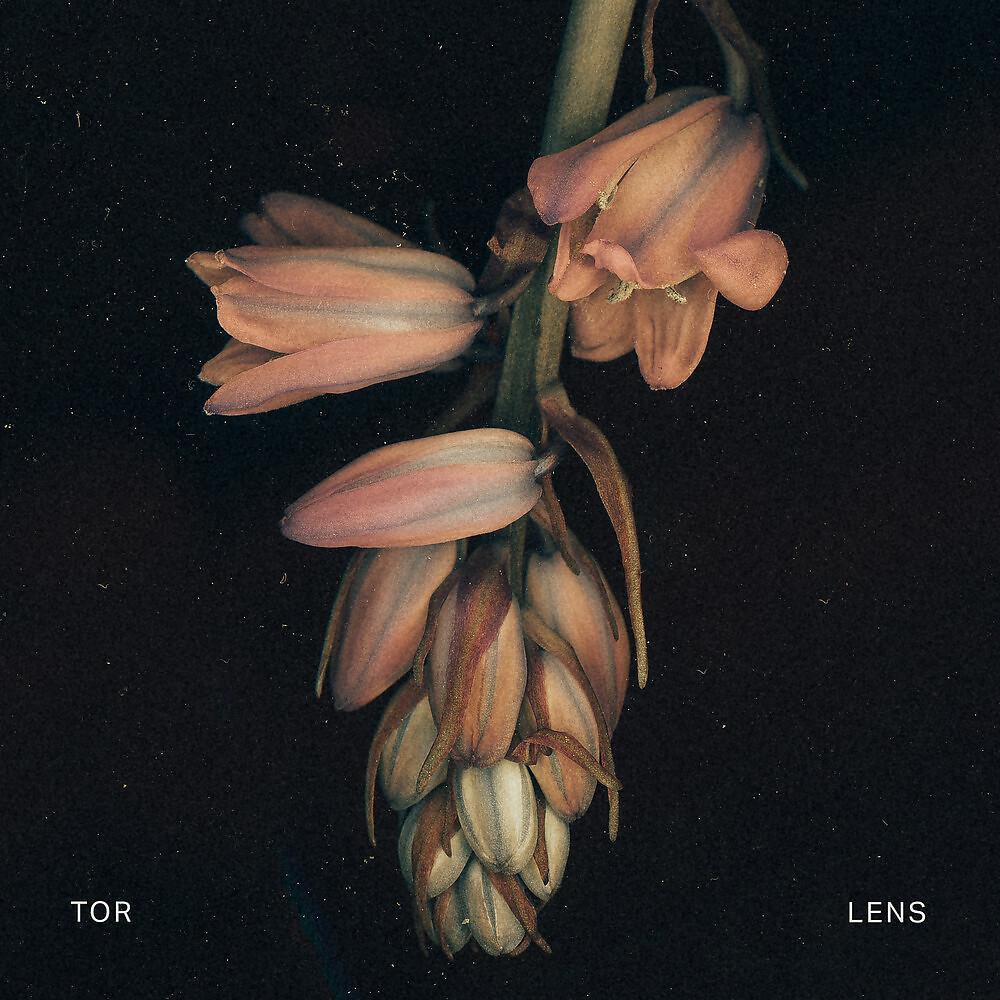 Постер альбома Lens