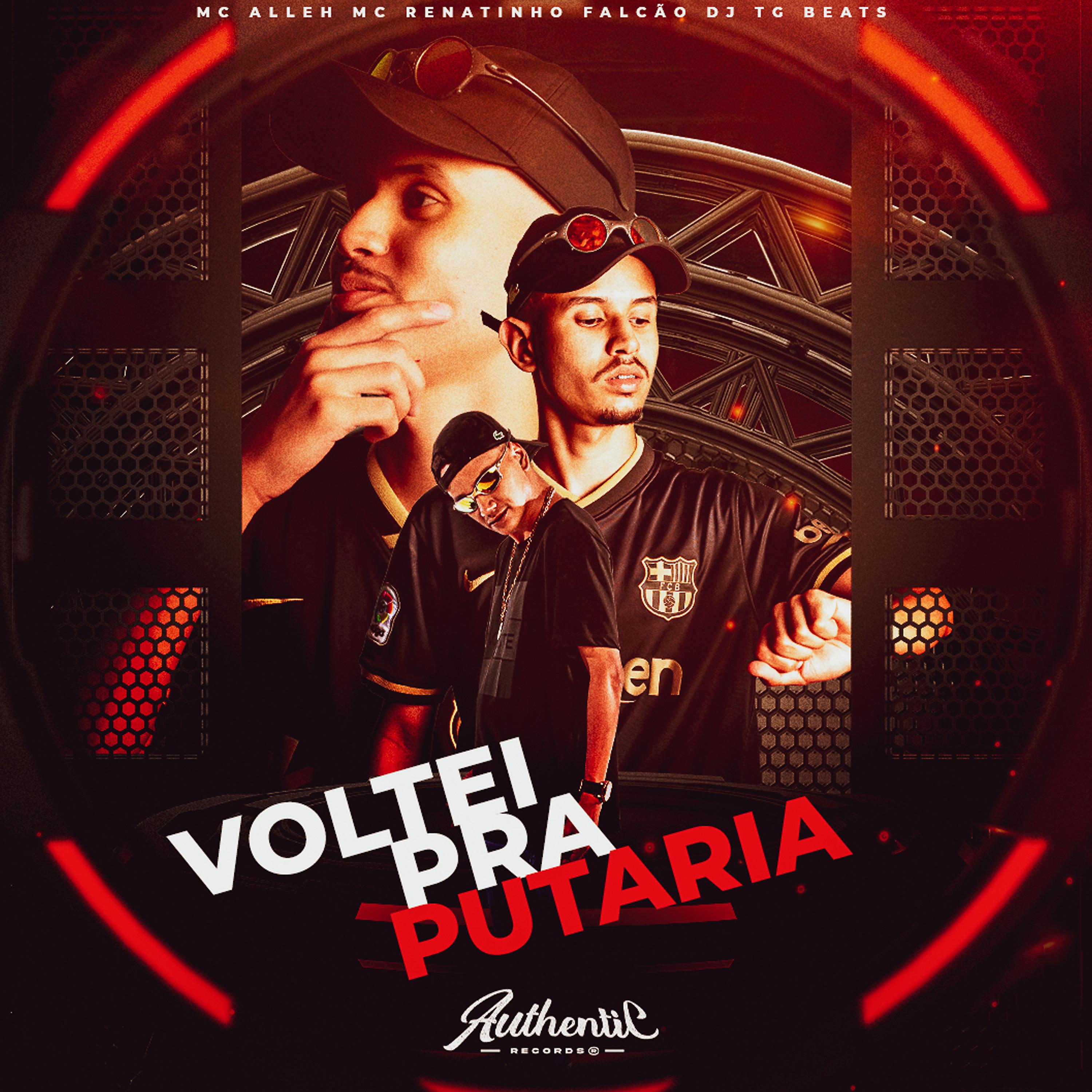 Постер альбома Voltei pra Putaria