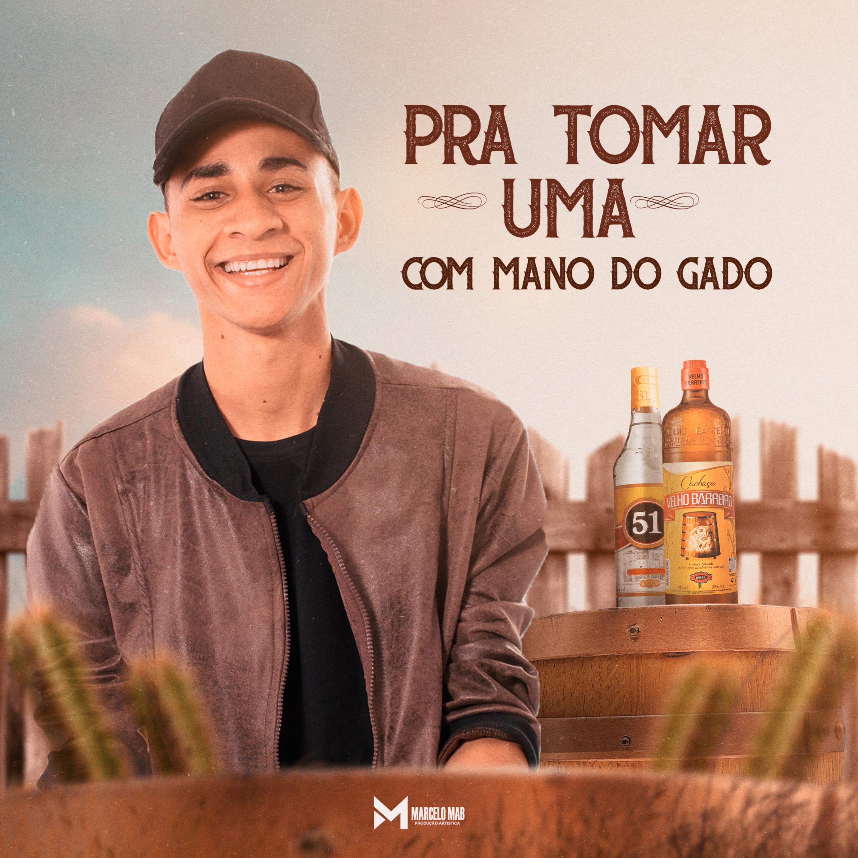 Постер альбома Pra Tomar uma Com Mano do Gado
