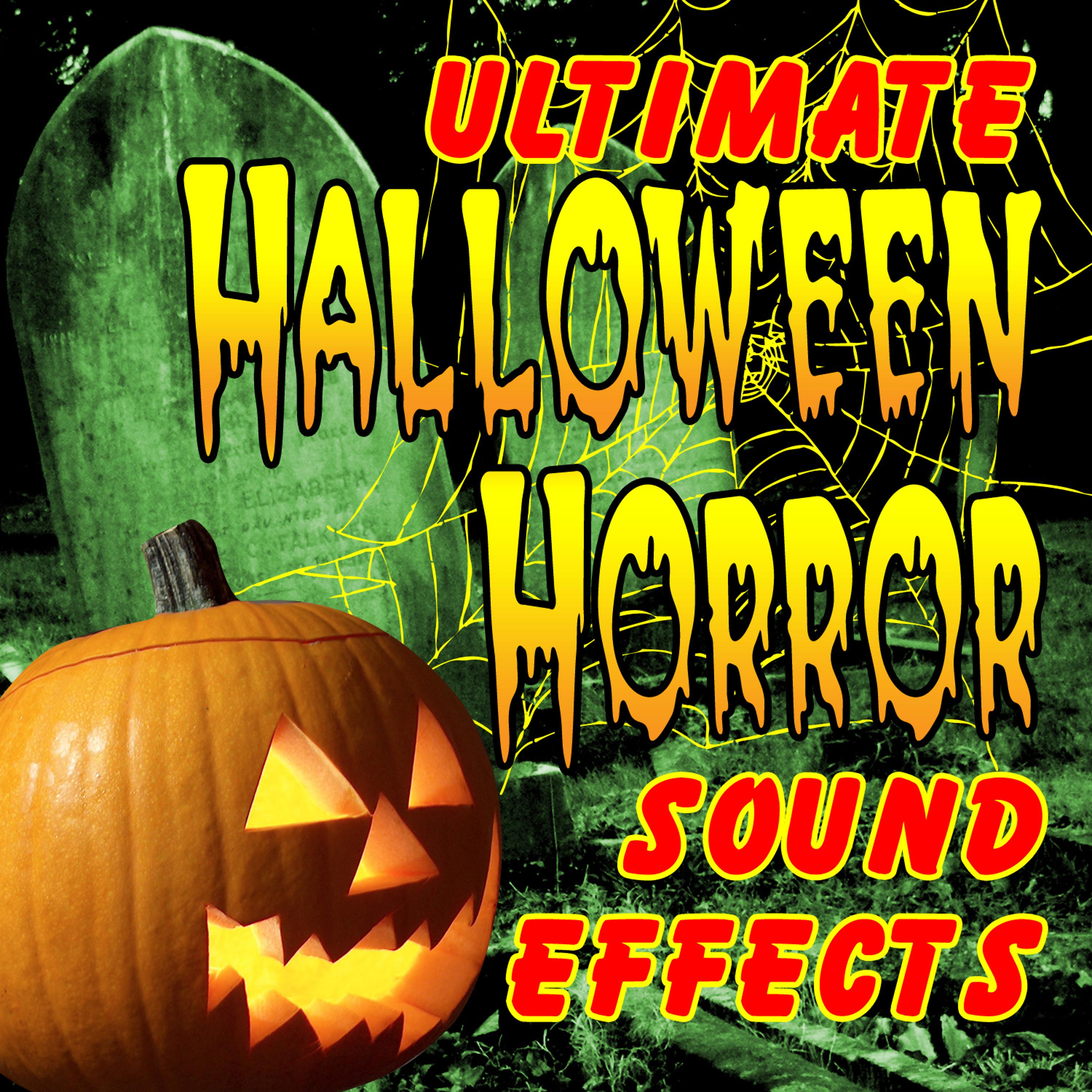 Постер альбома Ultimate Halloween Horror Sound Effects