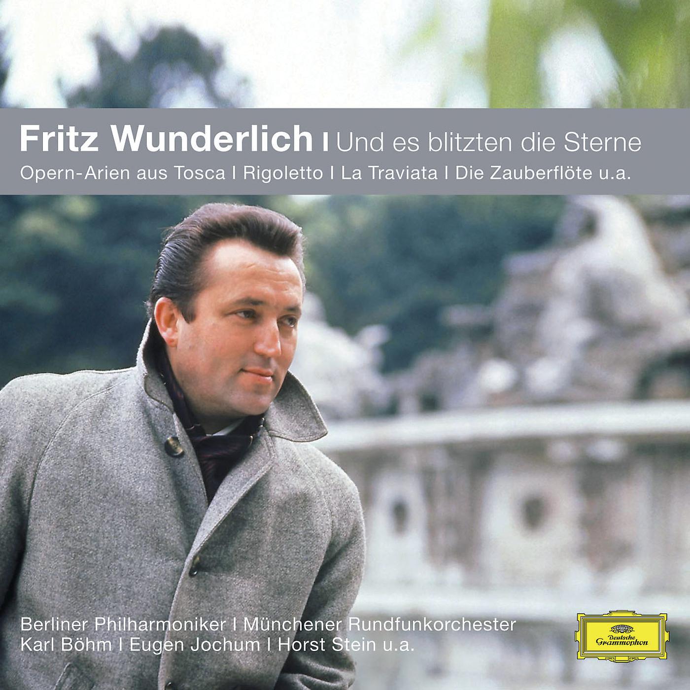 Постер альбома Fritz Wunderlich - Und es blitzten die Sterne