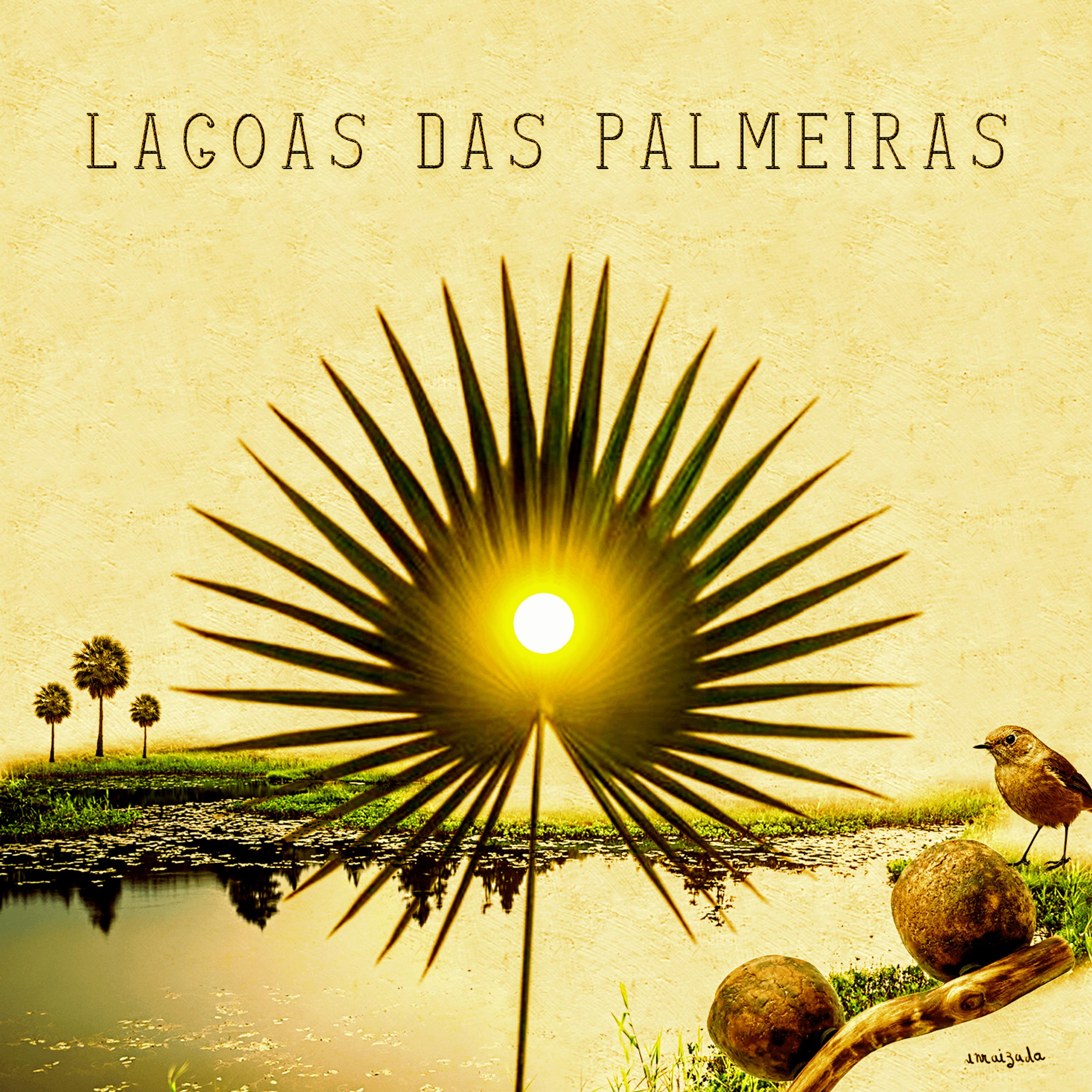 Постер альбома Lagoas das Palmeiras
