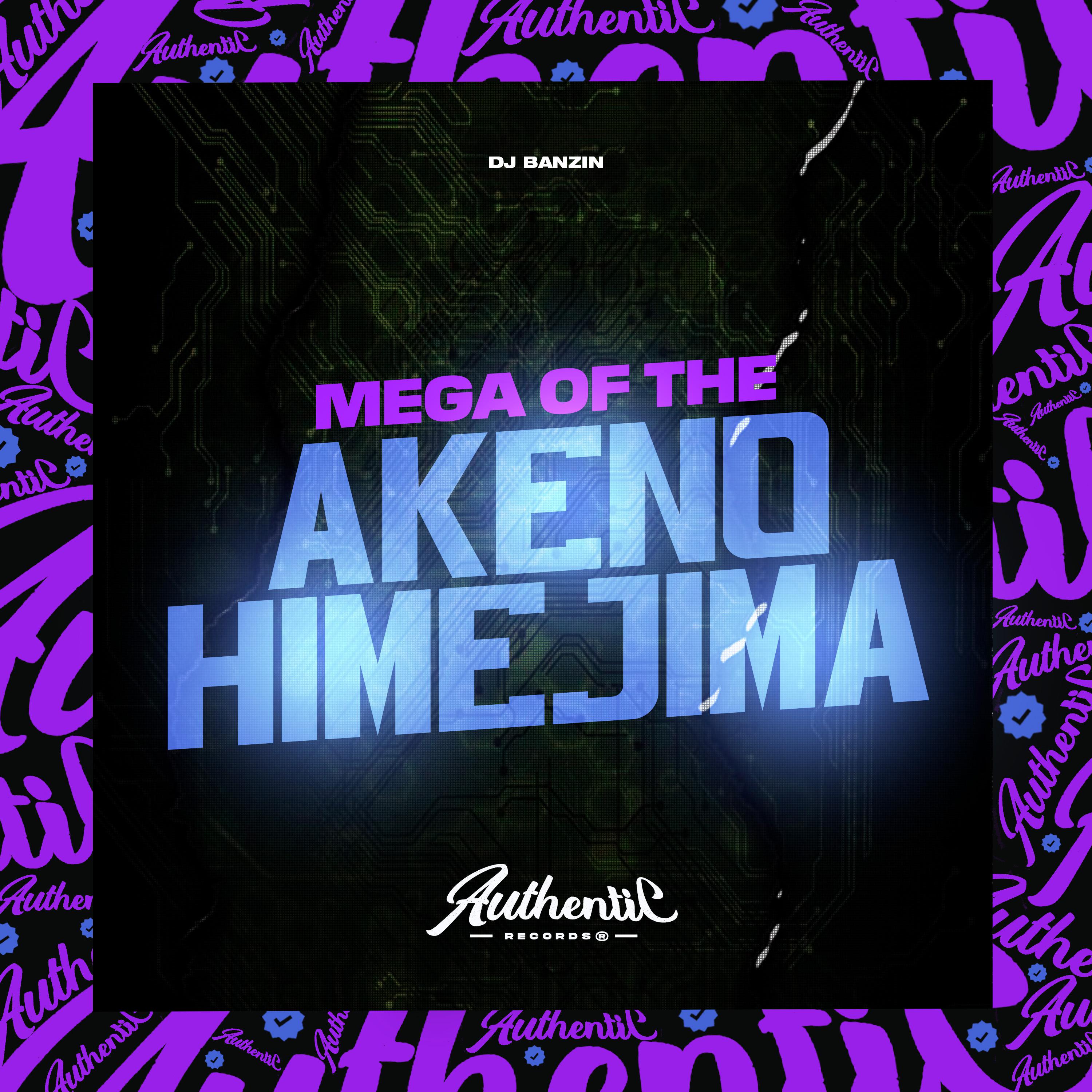 Постер альбома Mega Of The Akeno Himejima