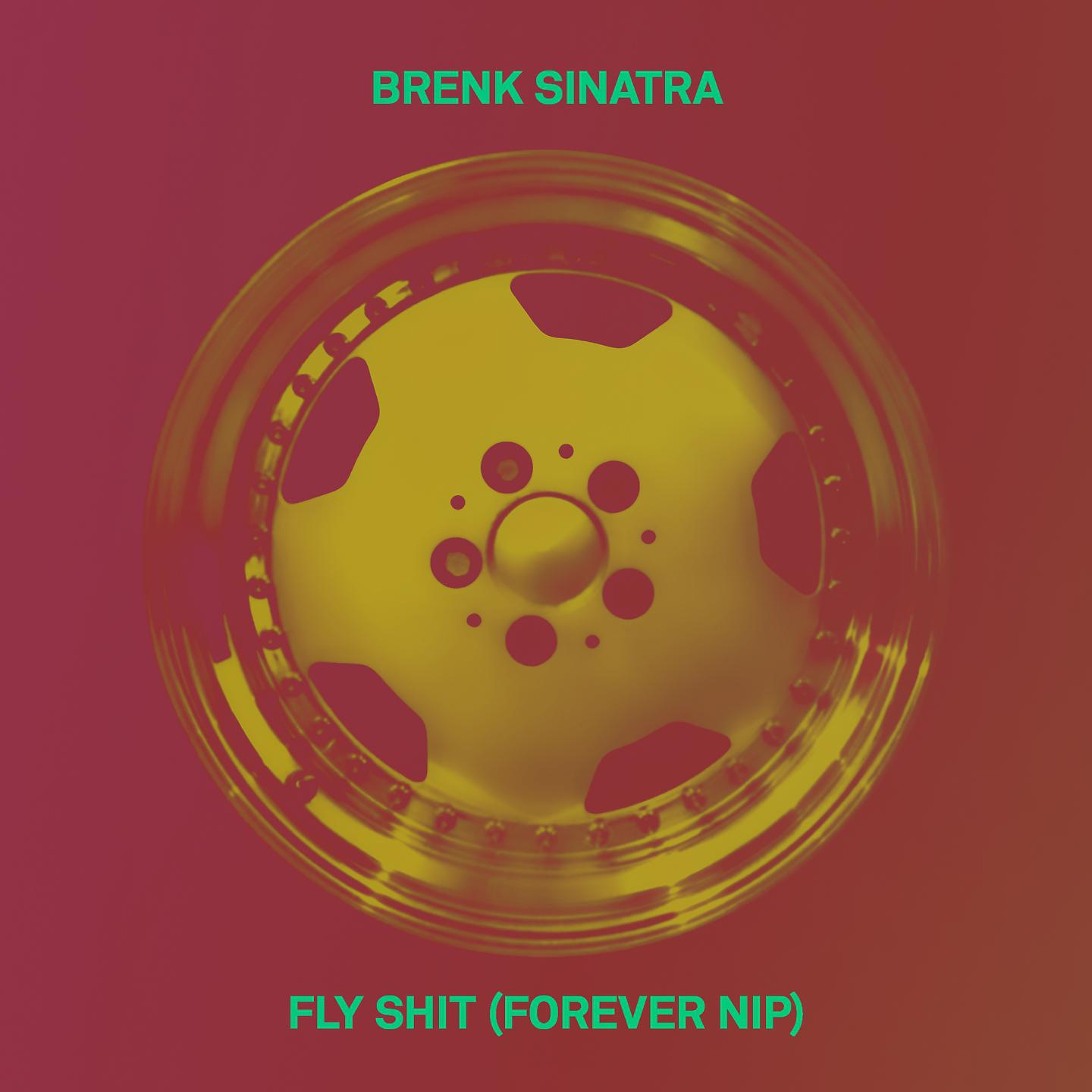 Постер альбома Fly Shit (Forever Nip)