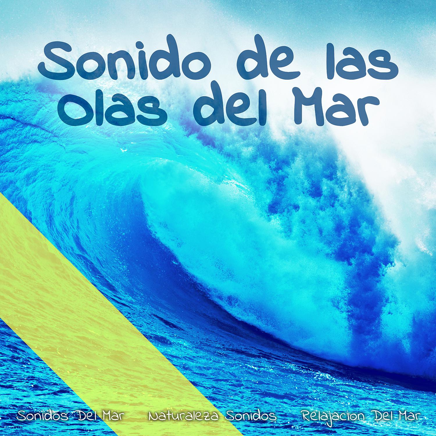 Постер альбома Sonido de las Olas del Mar