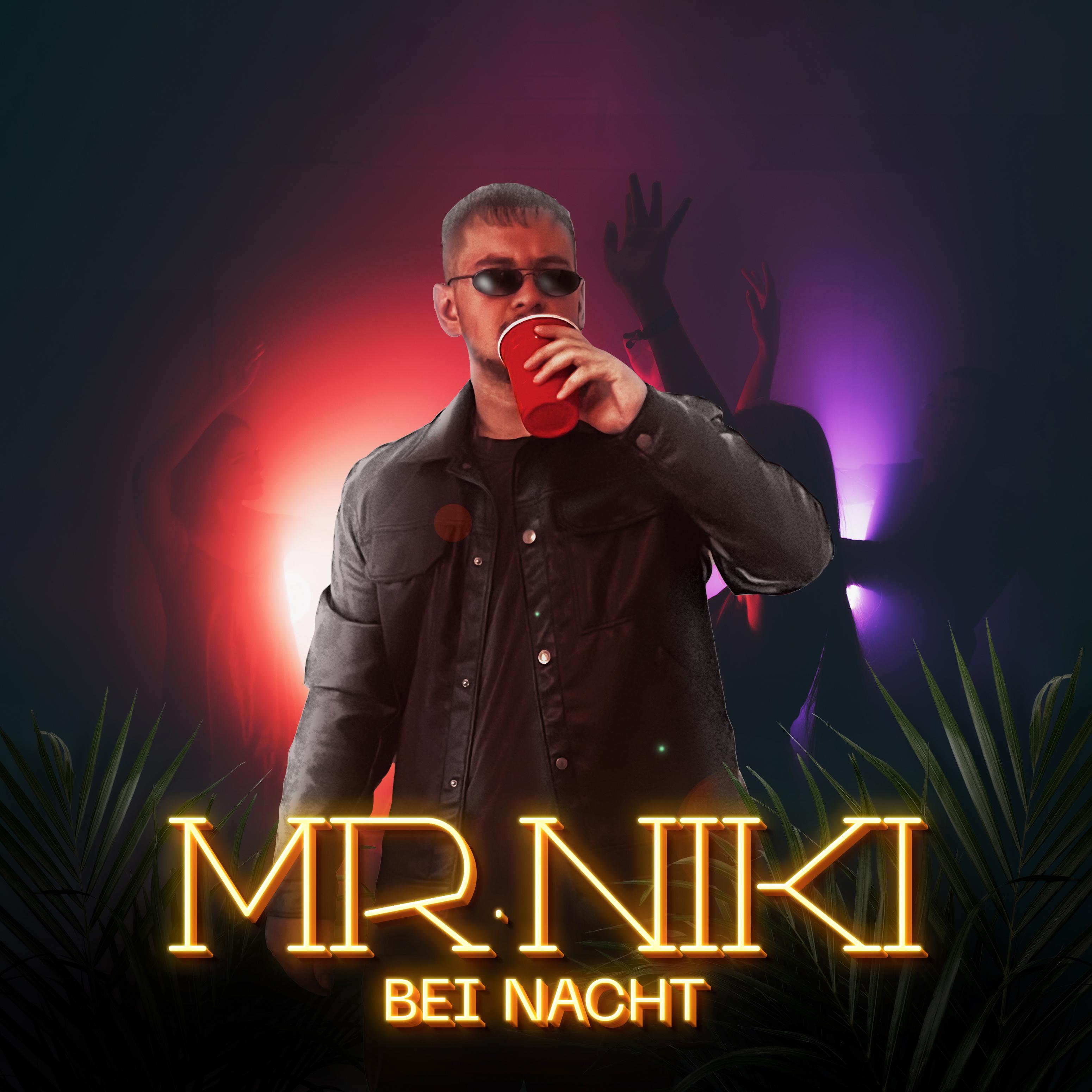 Постер альбома Bei Nacht