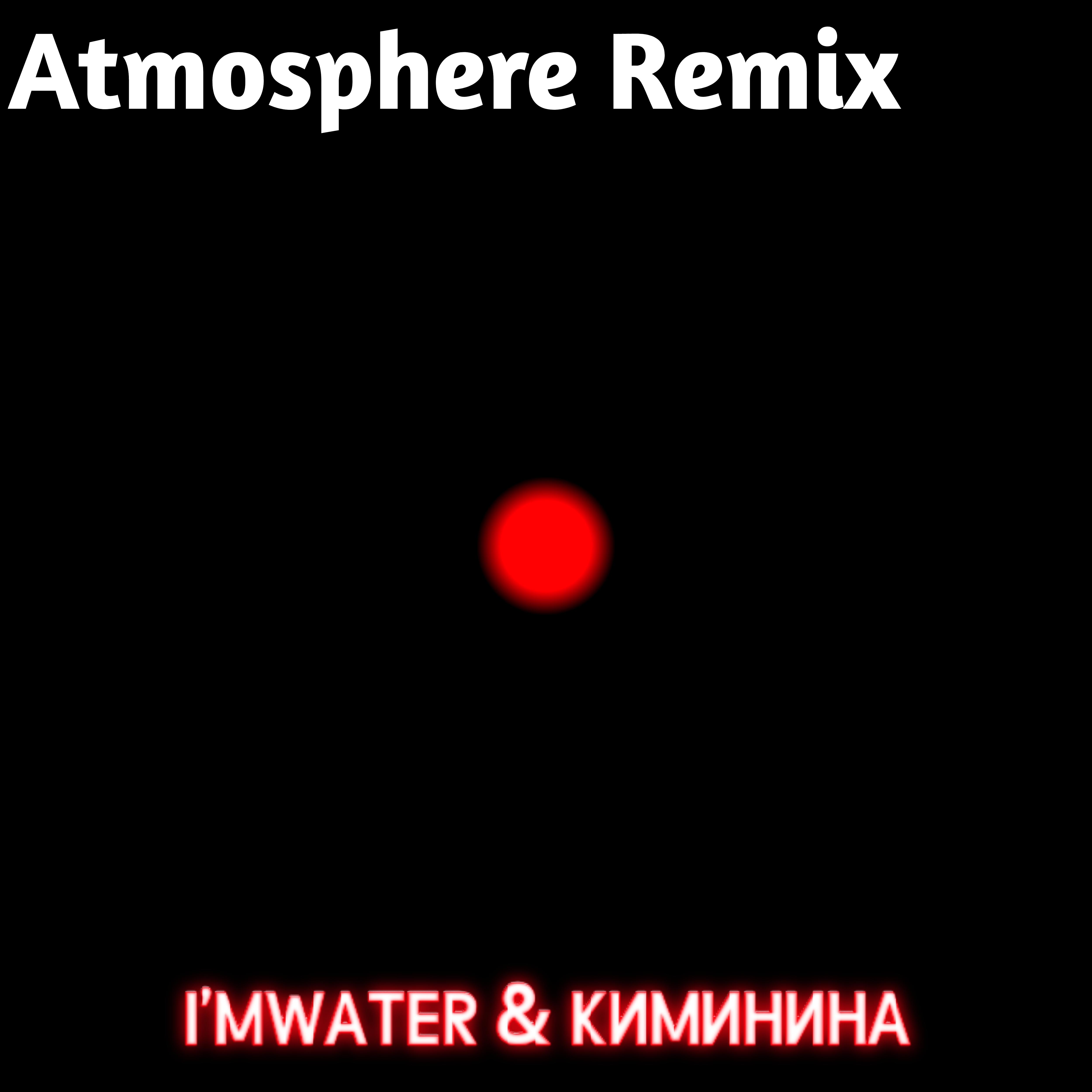Постер альбома Atmosphere (Remix)