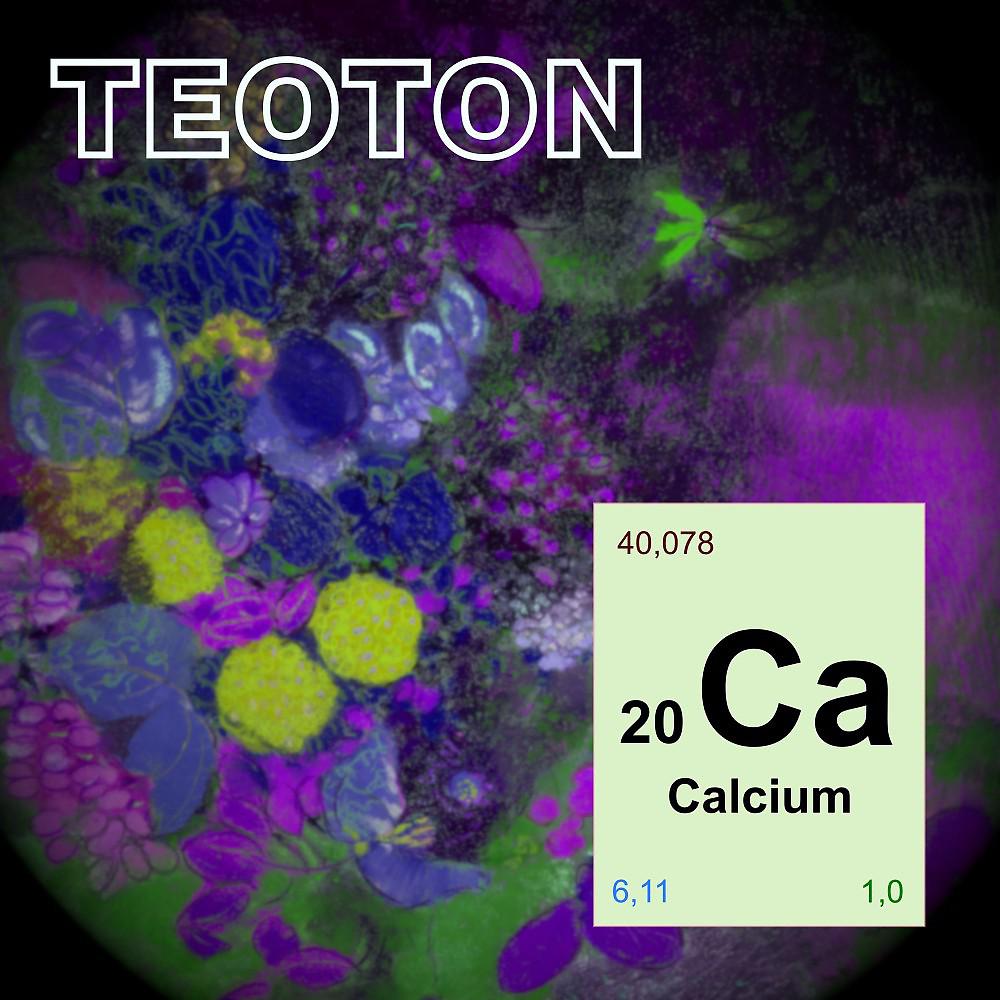 Постер альбома Calcium