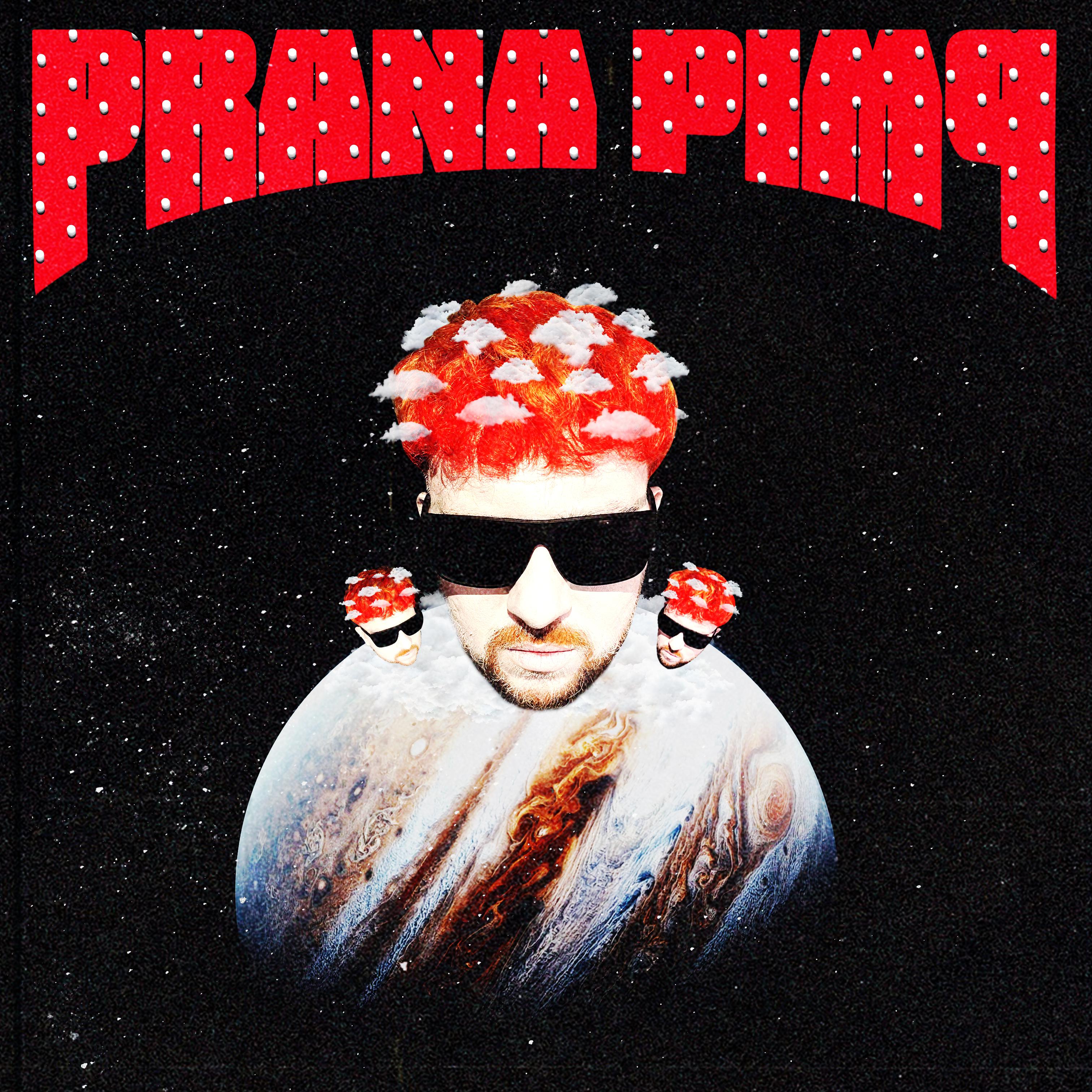 Постер альбома PRANA PIMP