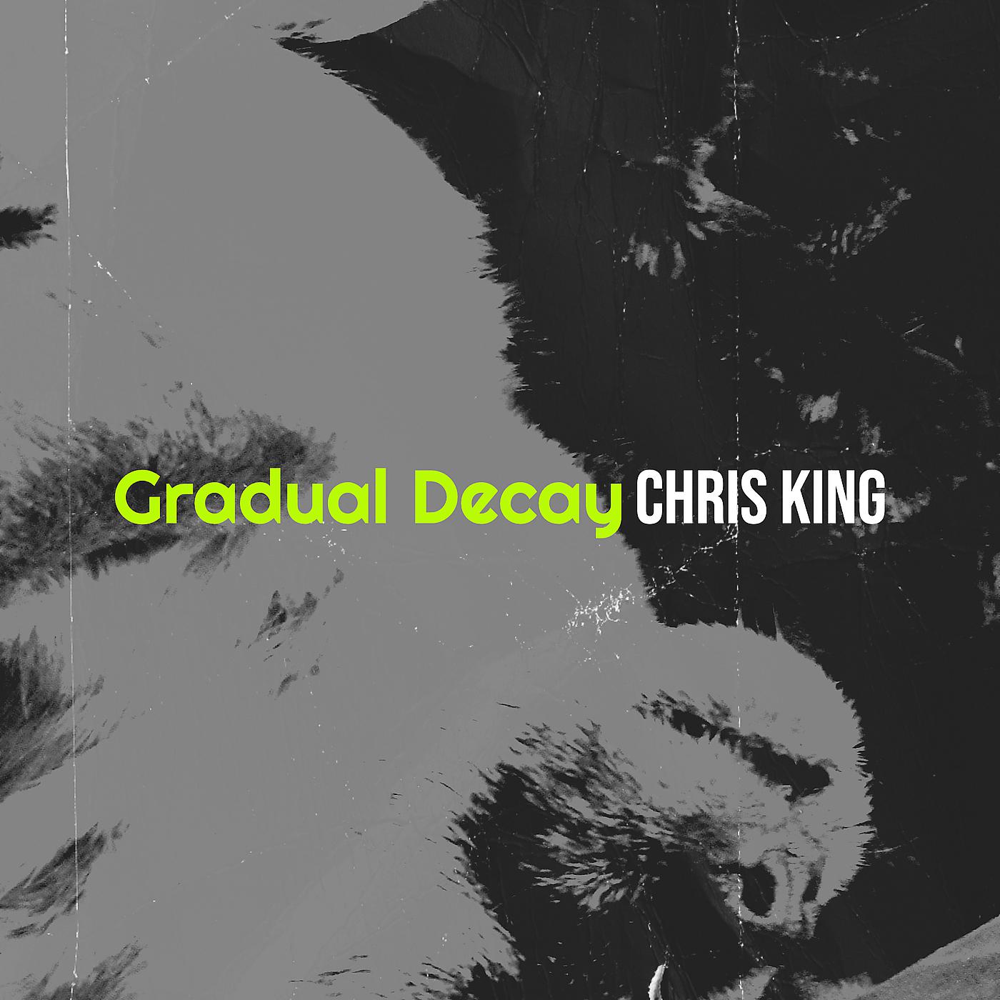 Постер альбома Gradual Decay