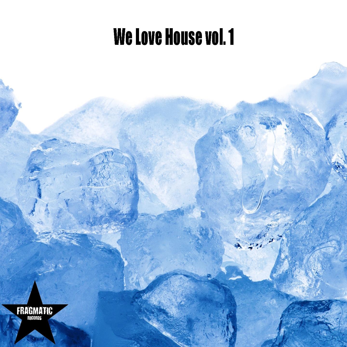 Постер альбома We Love House, Vol. 1