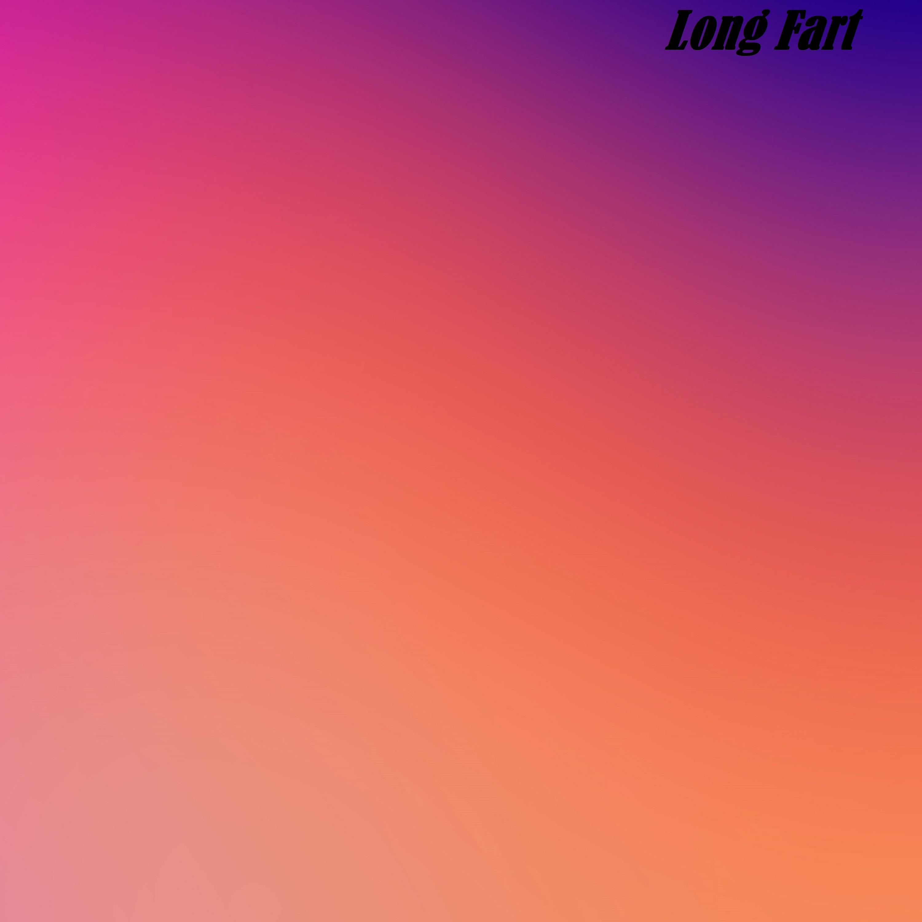 Постер альбома Long Fart