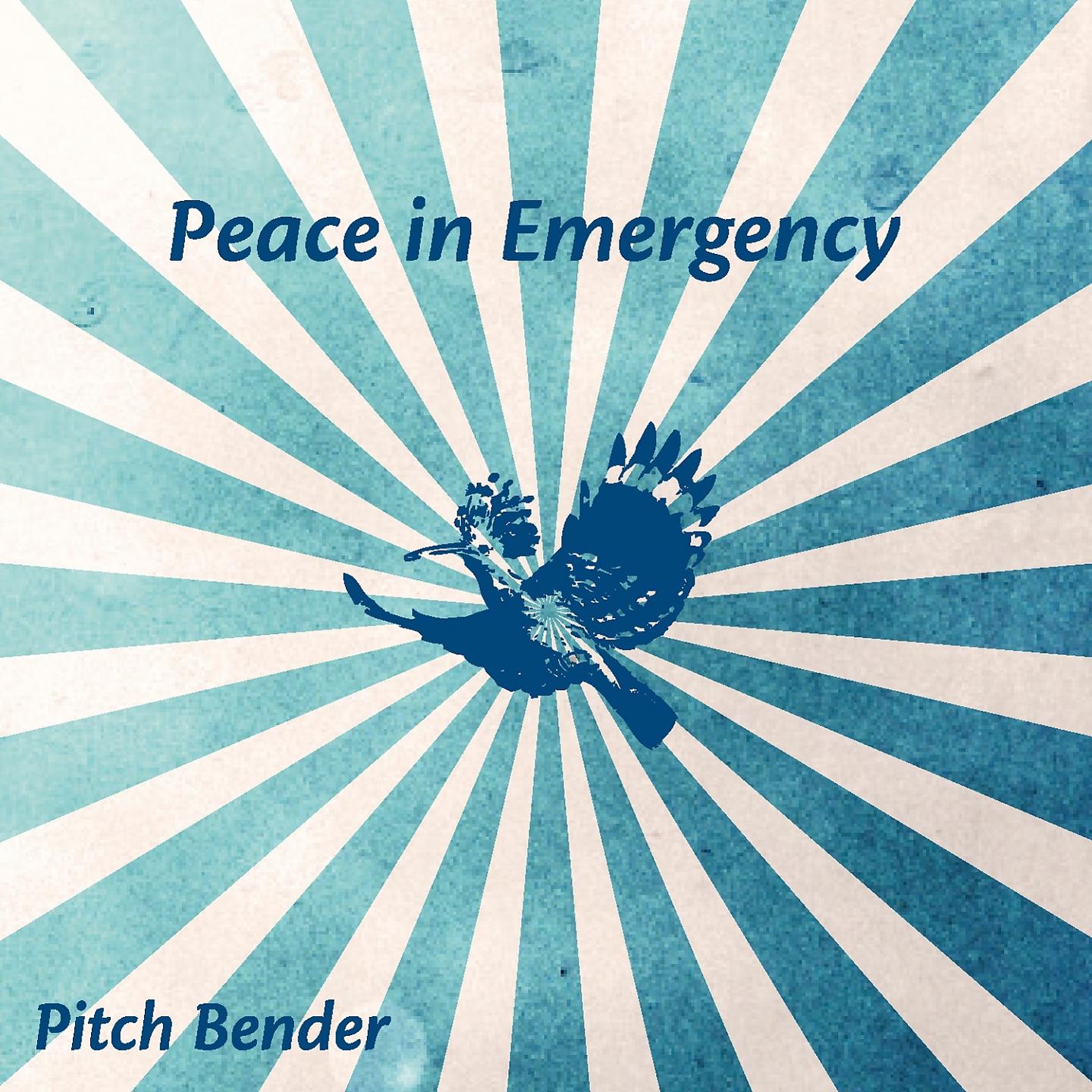 Постер альбома Peace in Emergency