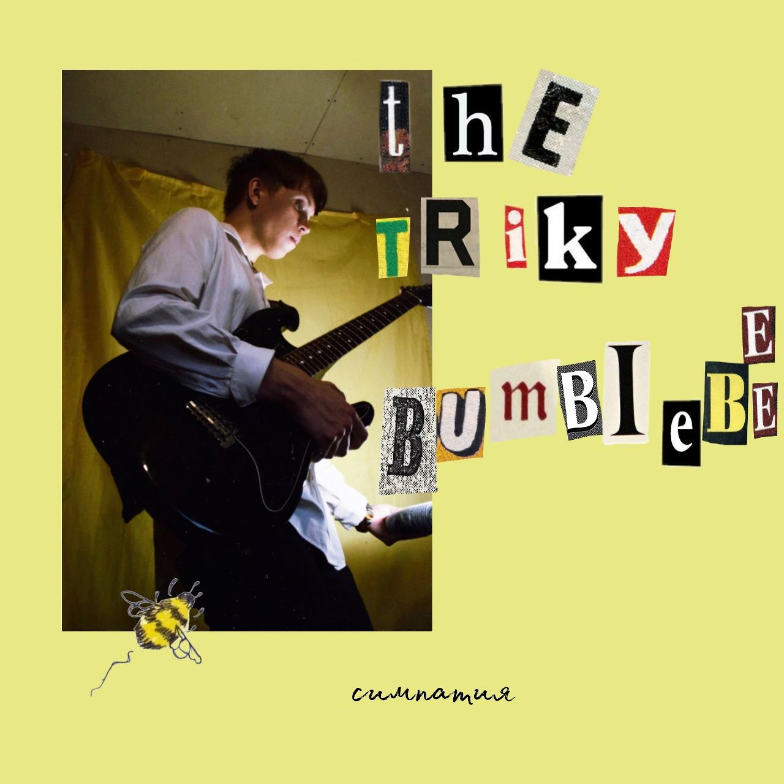 Постер альбома The Triky Bumblebee