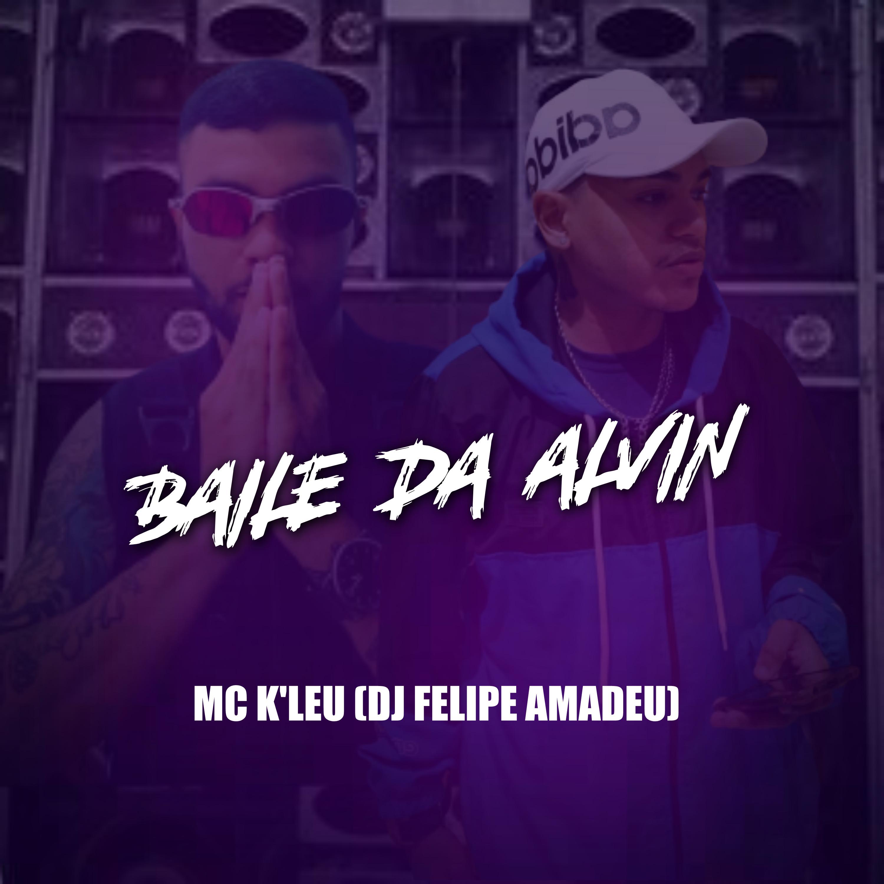 Постер альбома Baile da Alvin