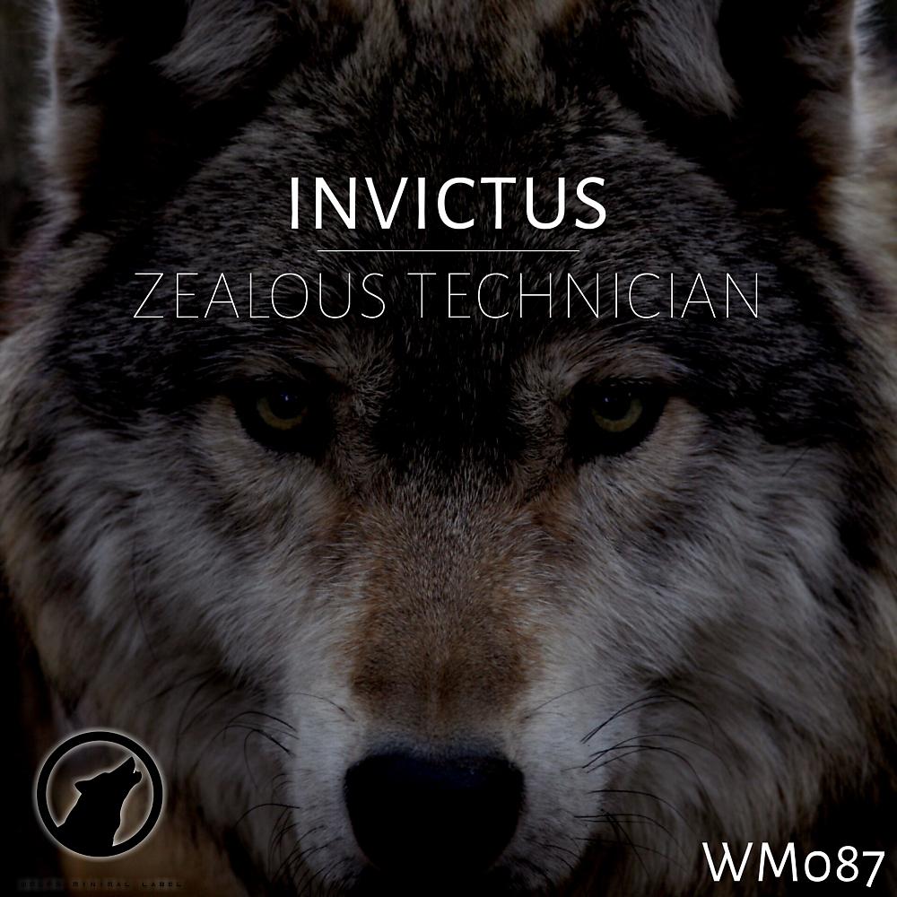 Постер альбома Invictus