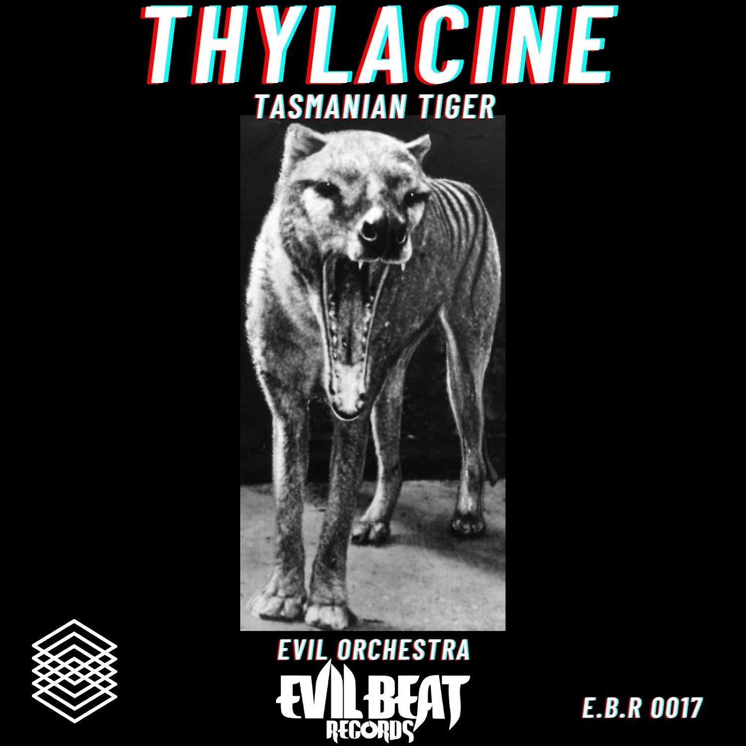 Постер альбома Thylacine Tasmanian Tiger